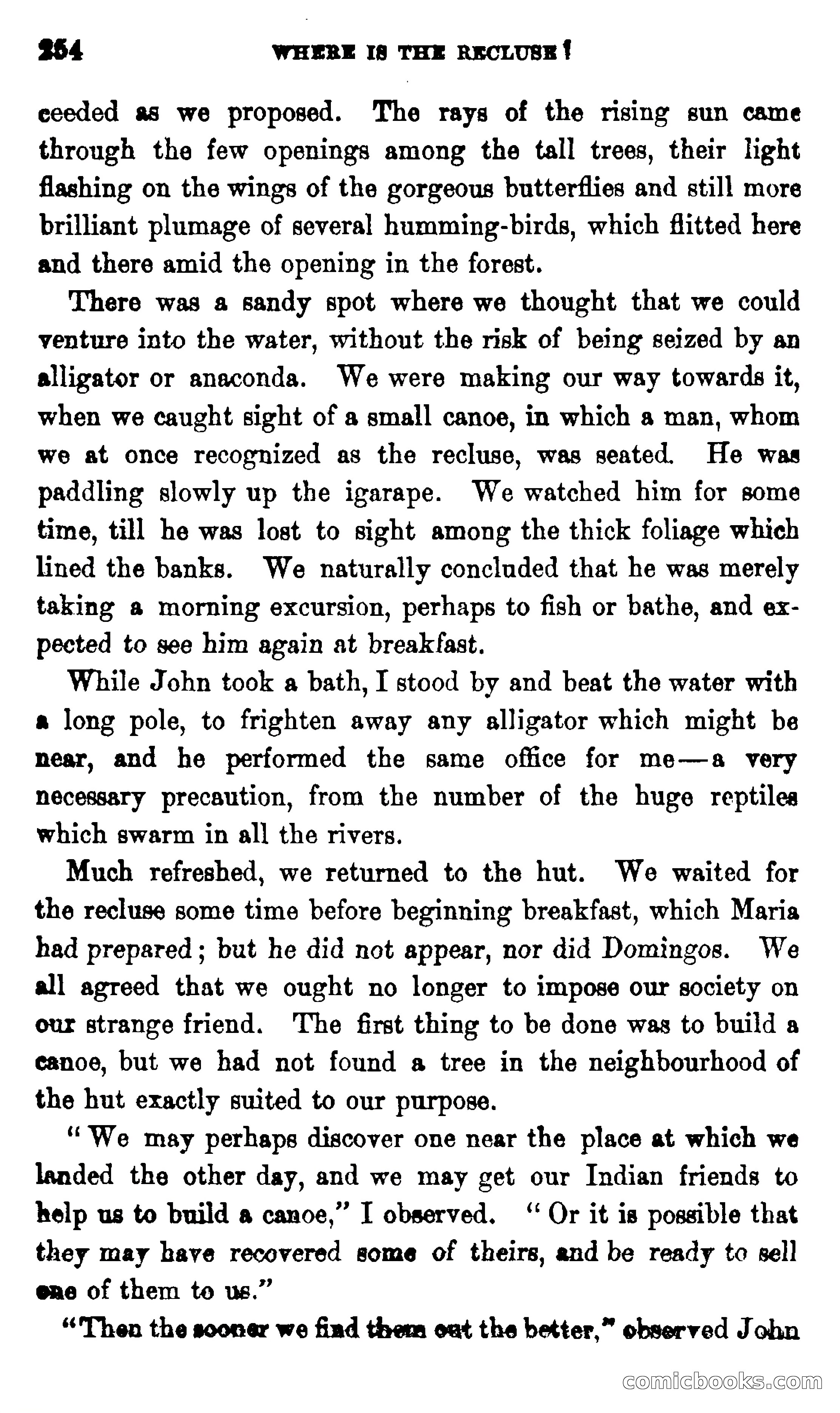 On the Banks of the Amazon — page 248 of 400