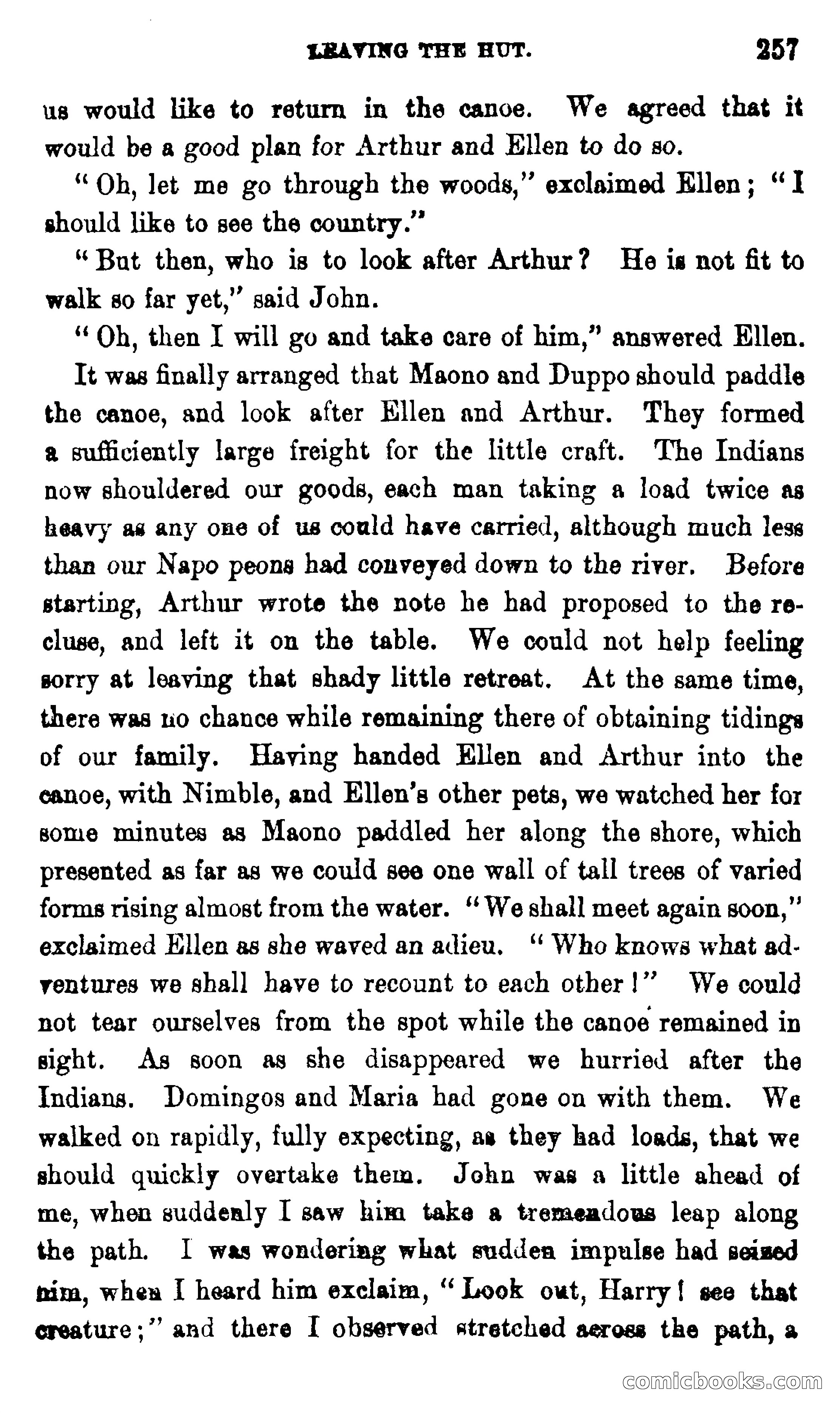 On the Banks of the Amazon — page 251 of 400