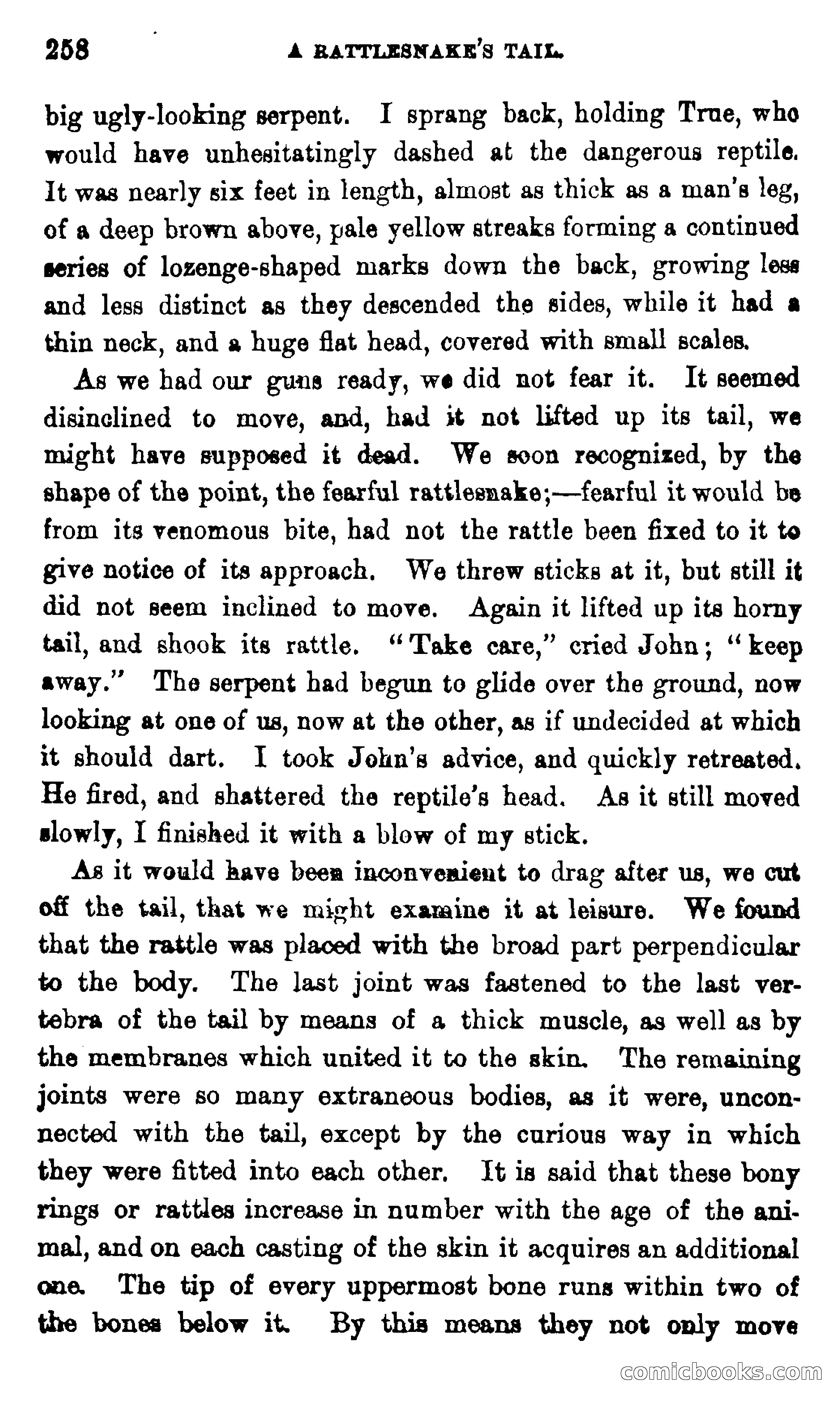 On the Banks of the Amazon — page 252 of 400