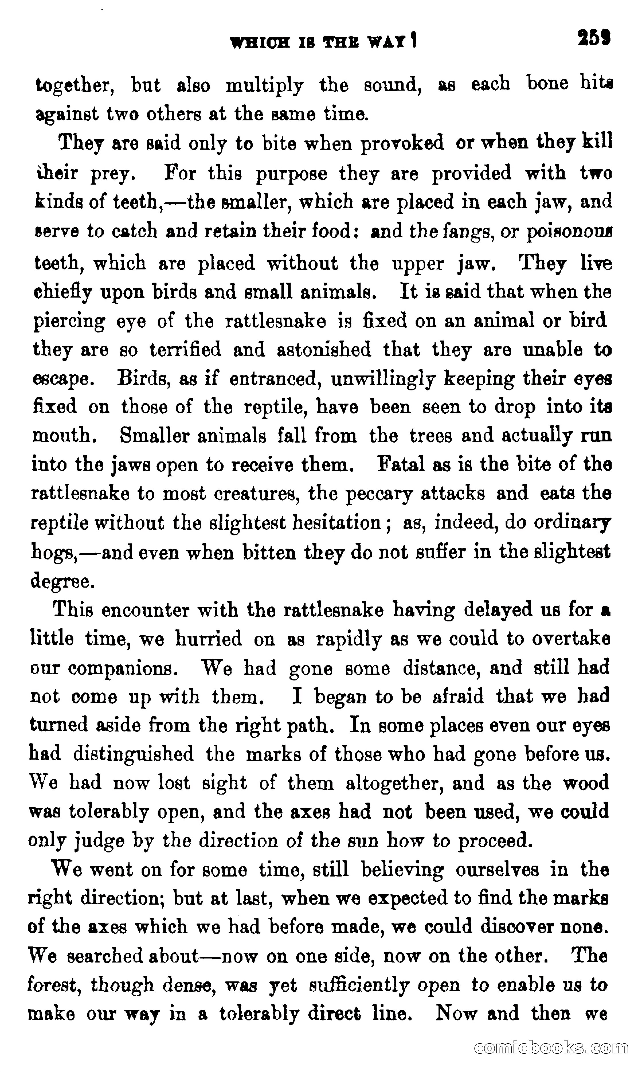 On the Banks of the Amazon — page 253 of 400