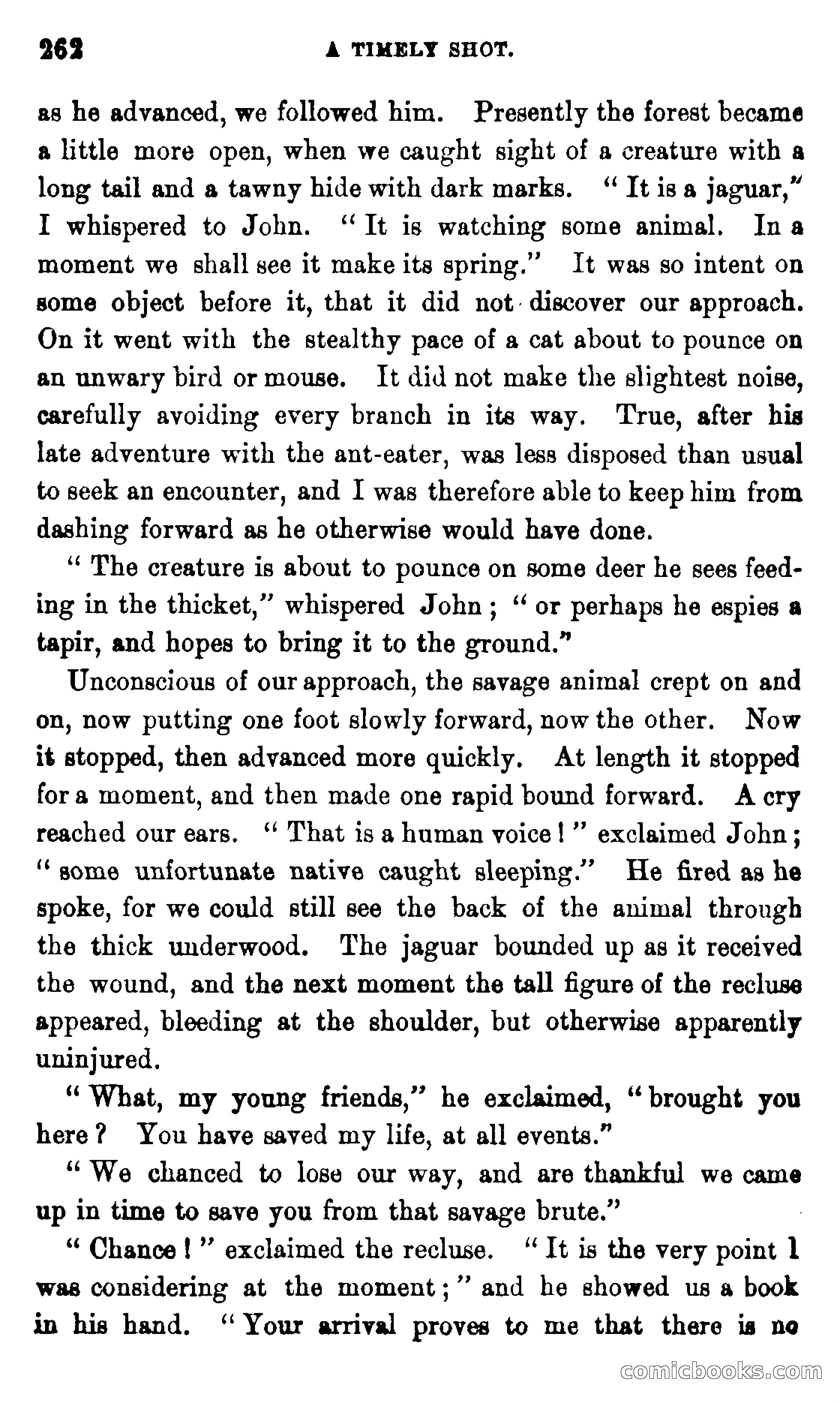 On the Banks of the Amazon — page 256 of 400