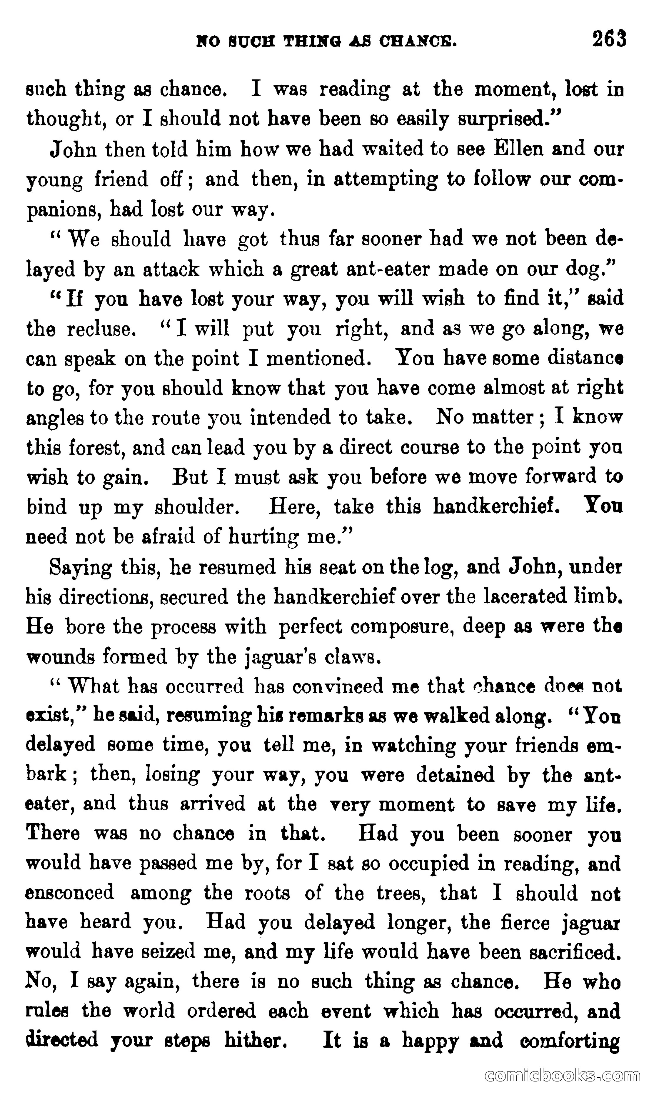 On the Banks of the Amazon — page 257 of 400