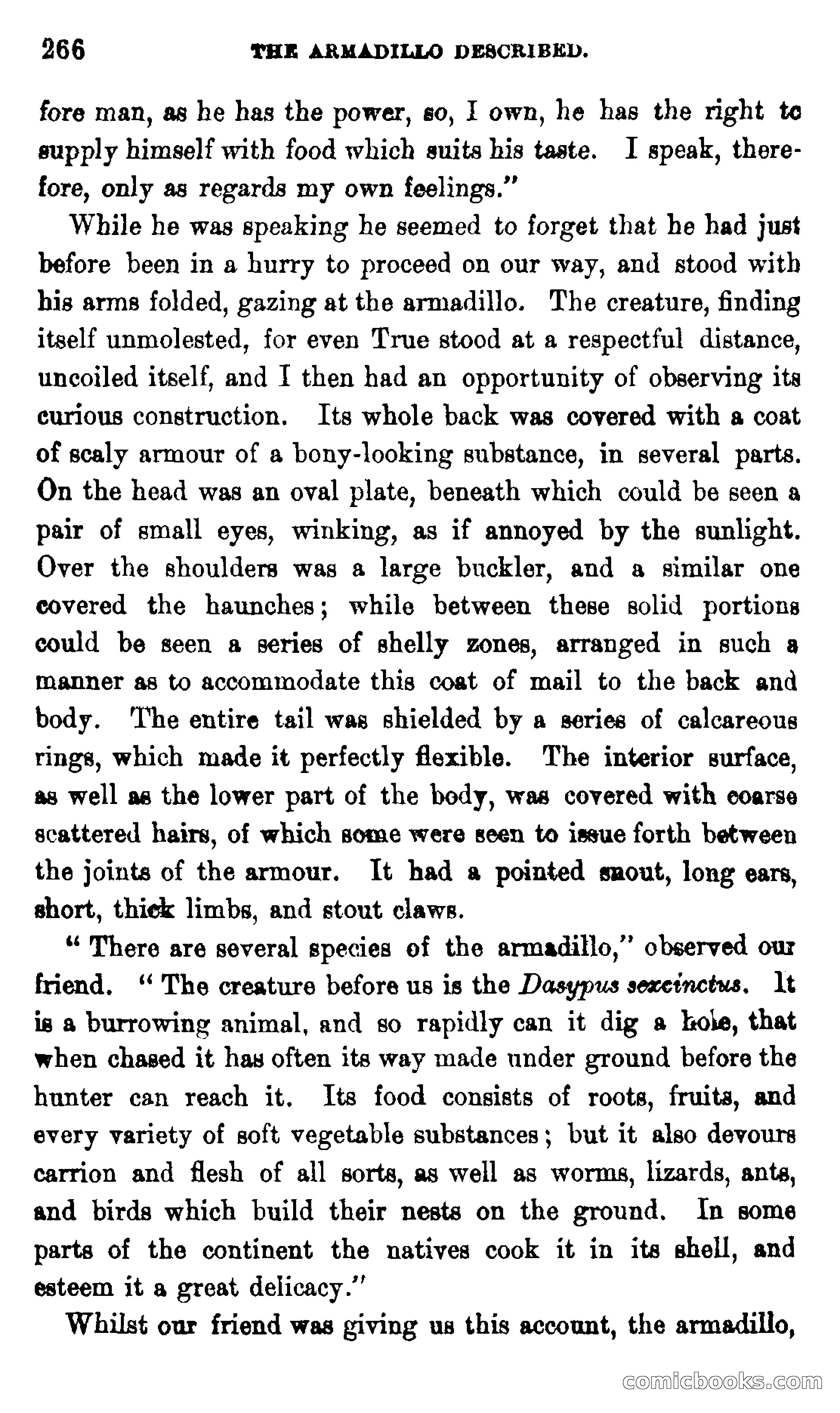 On the Banks of the Amazon — page 260 of 400