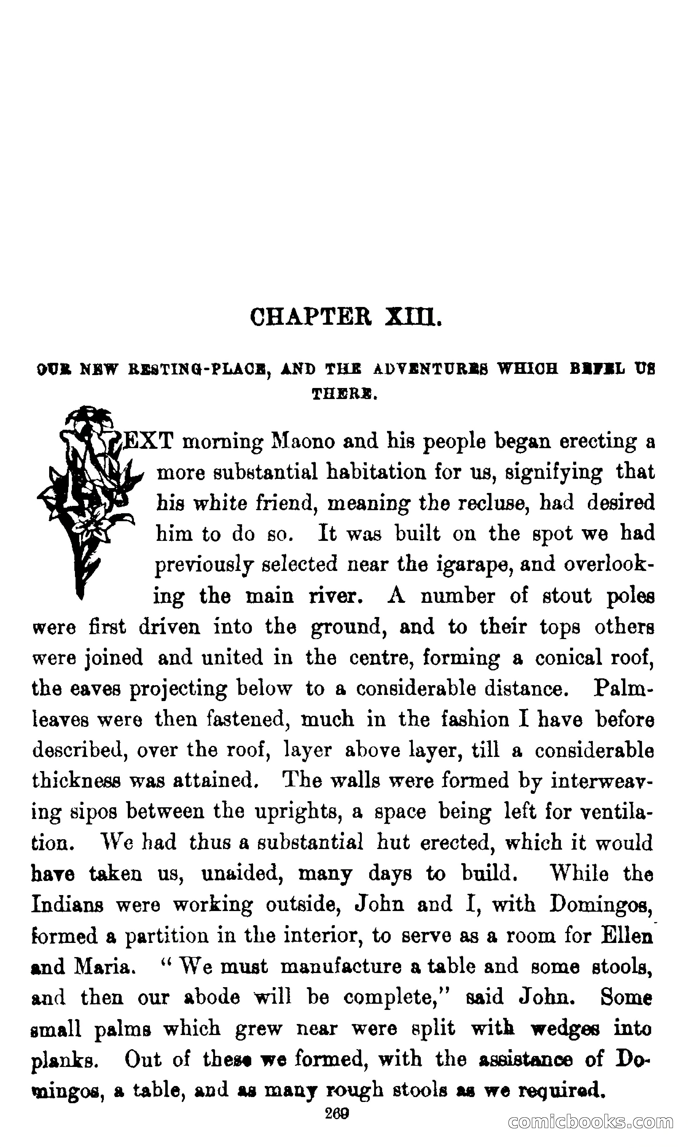 On the Banks of the Amazon — page 263 of 400