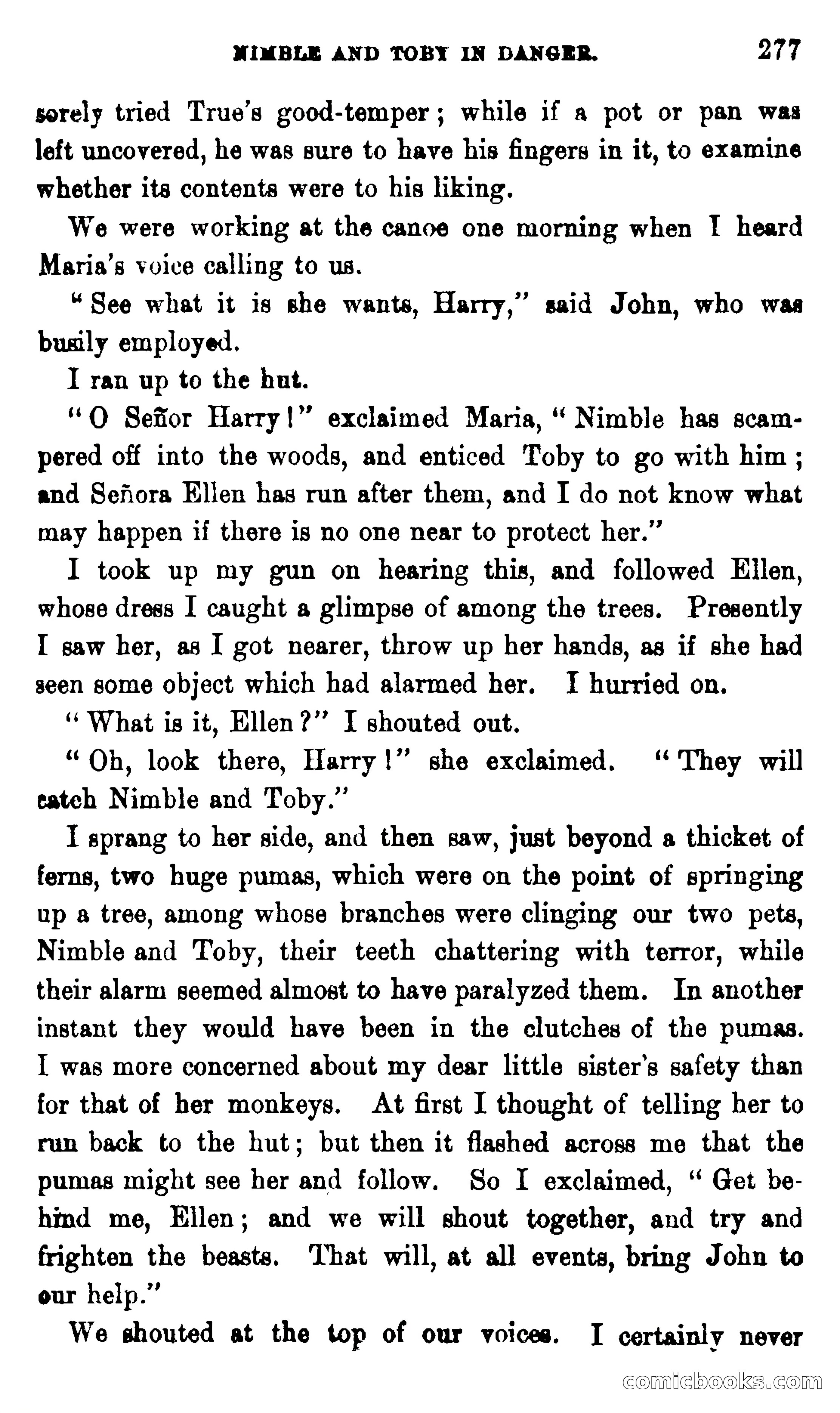 On the Banks of the Amazon — page 271 of 400