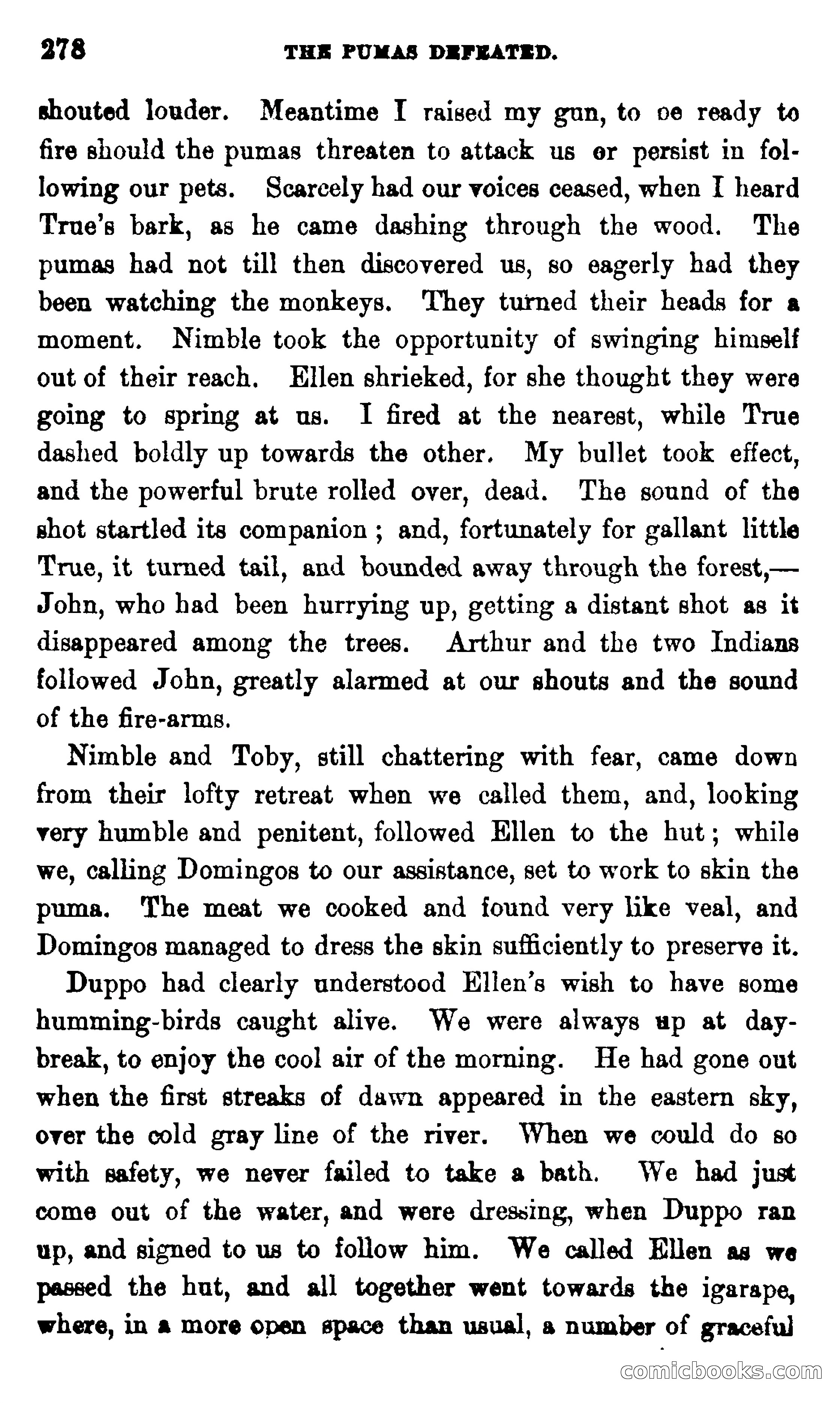 On the Banks of the Amazon — page 272 of 400