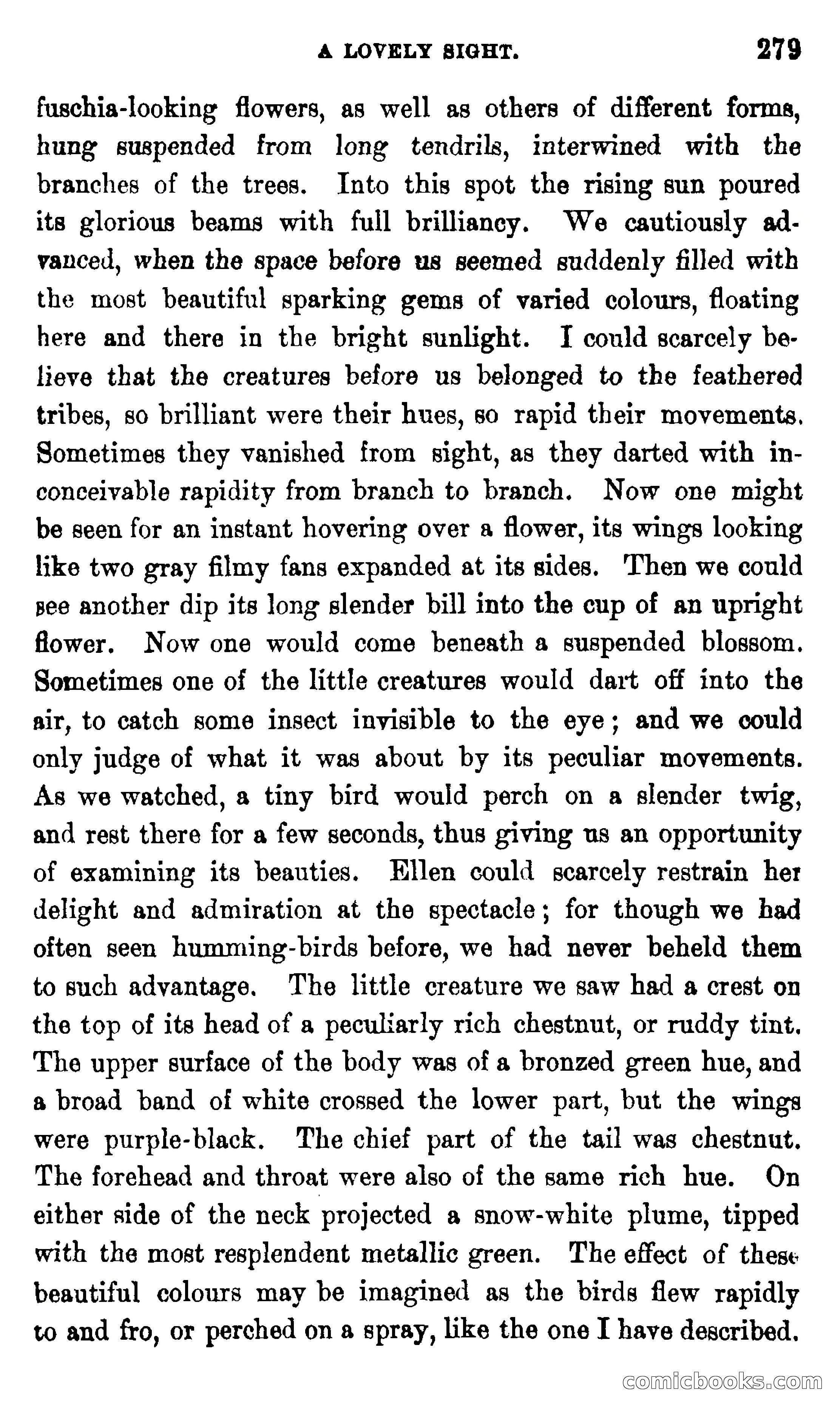 On the Banks of the Amazon — page 273 of 400