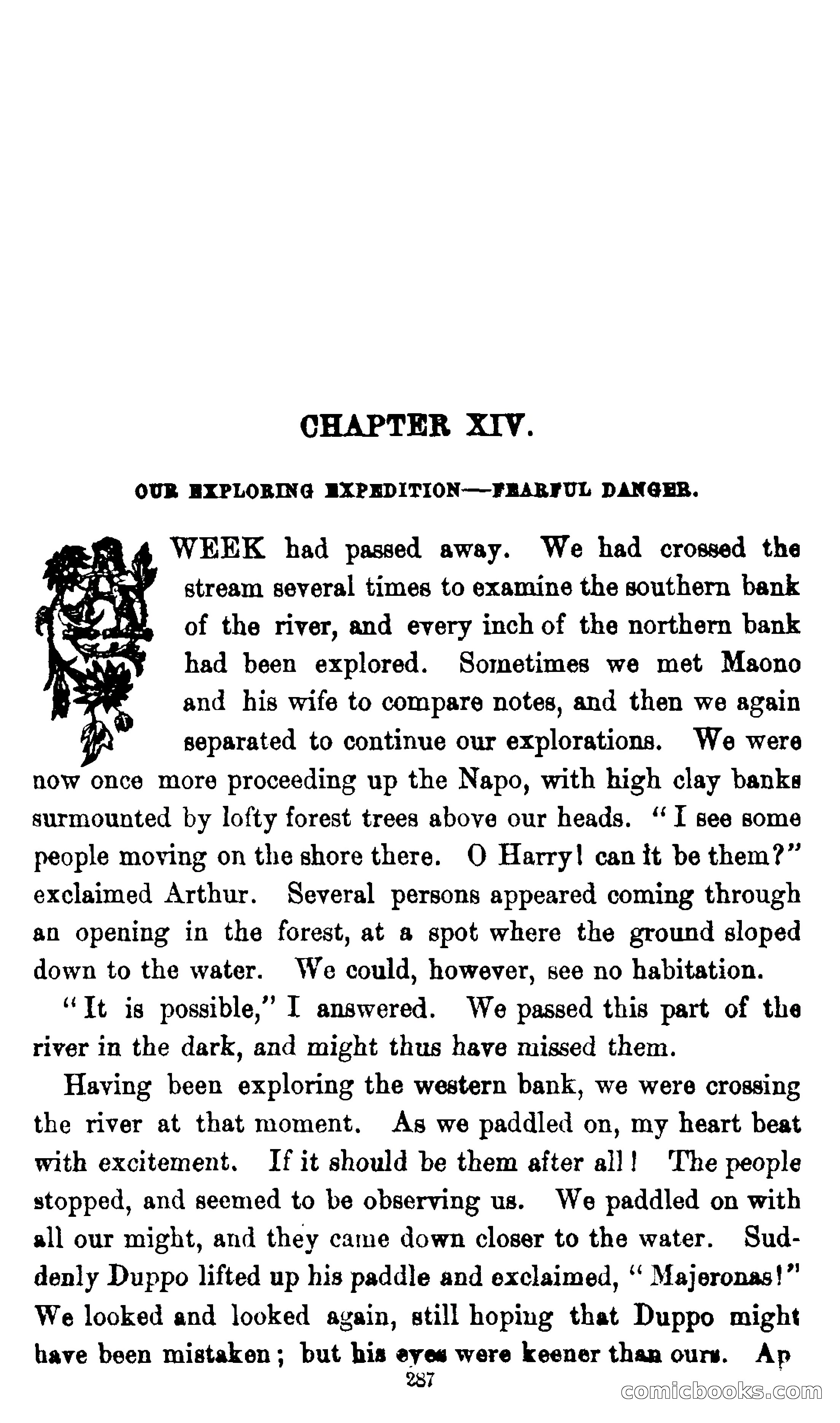 On the Banks of the Amazon — page 281 of 400