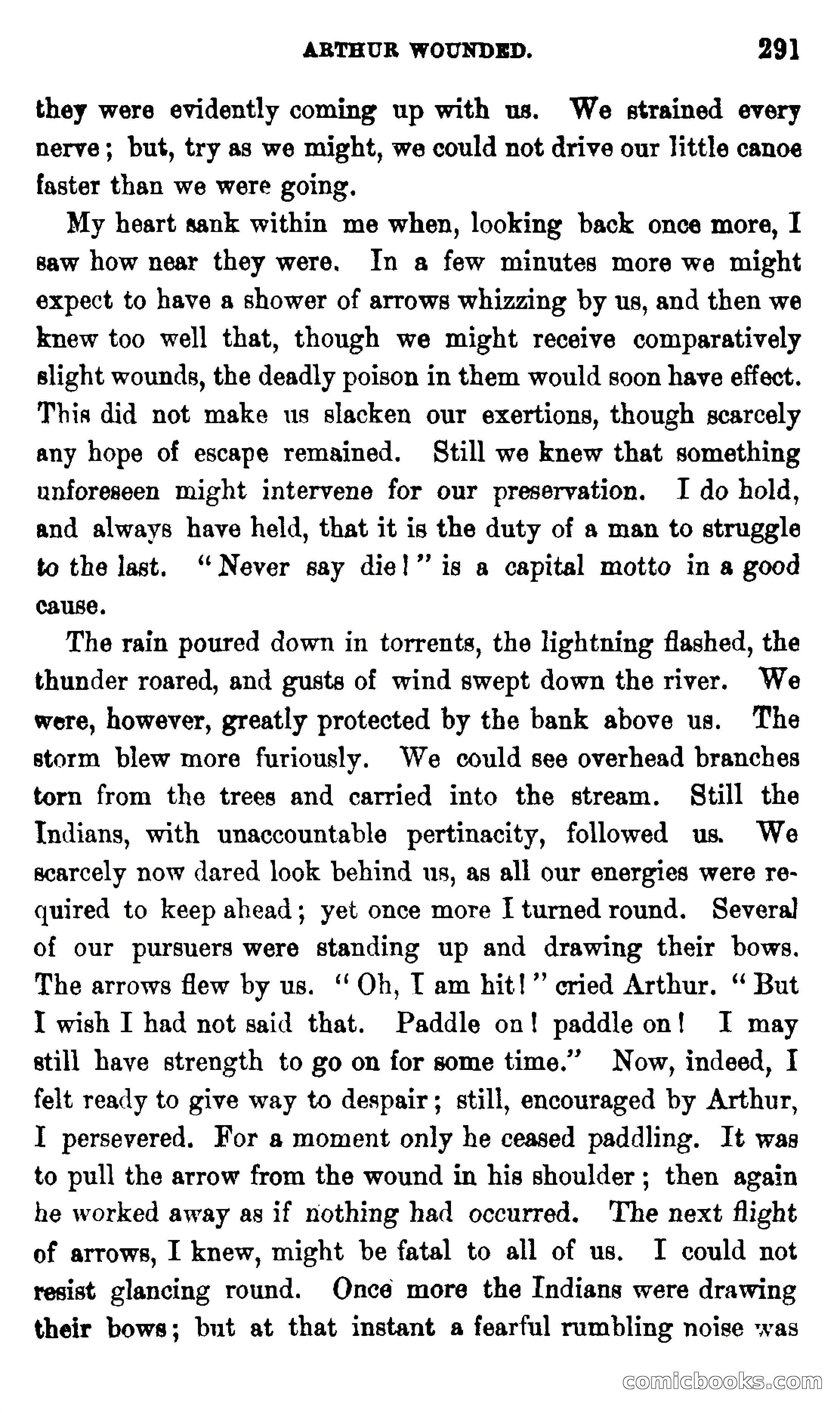 On the Banks of the Amazon — page 285 of 400