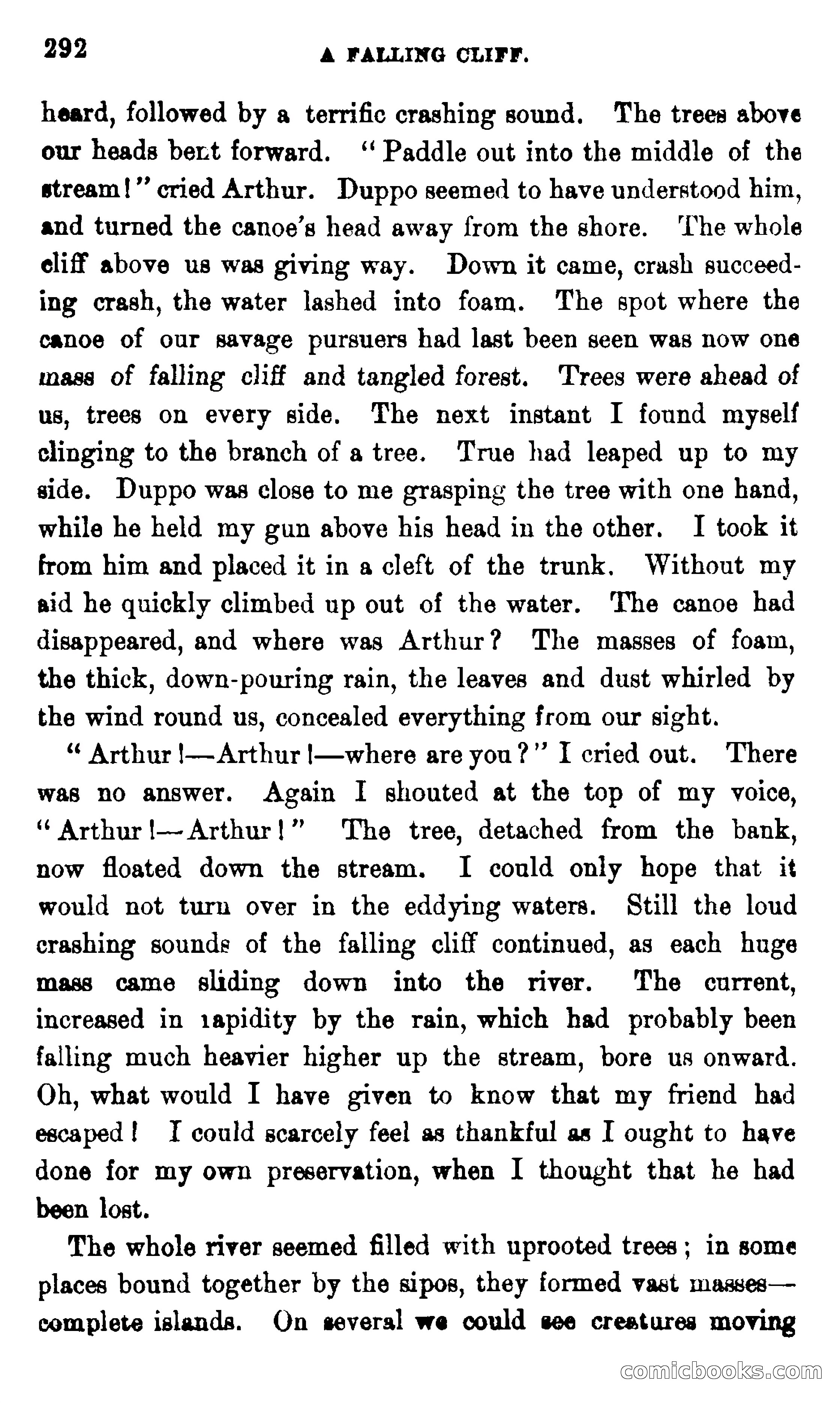 On the Banks of the Amazon — page 286 of 400