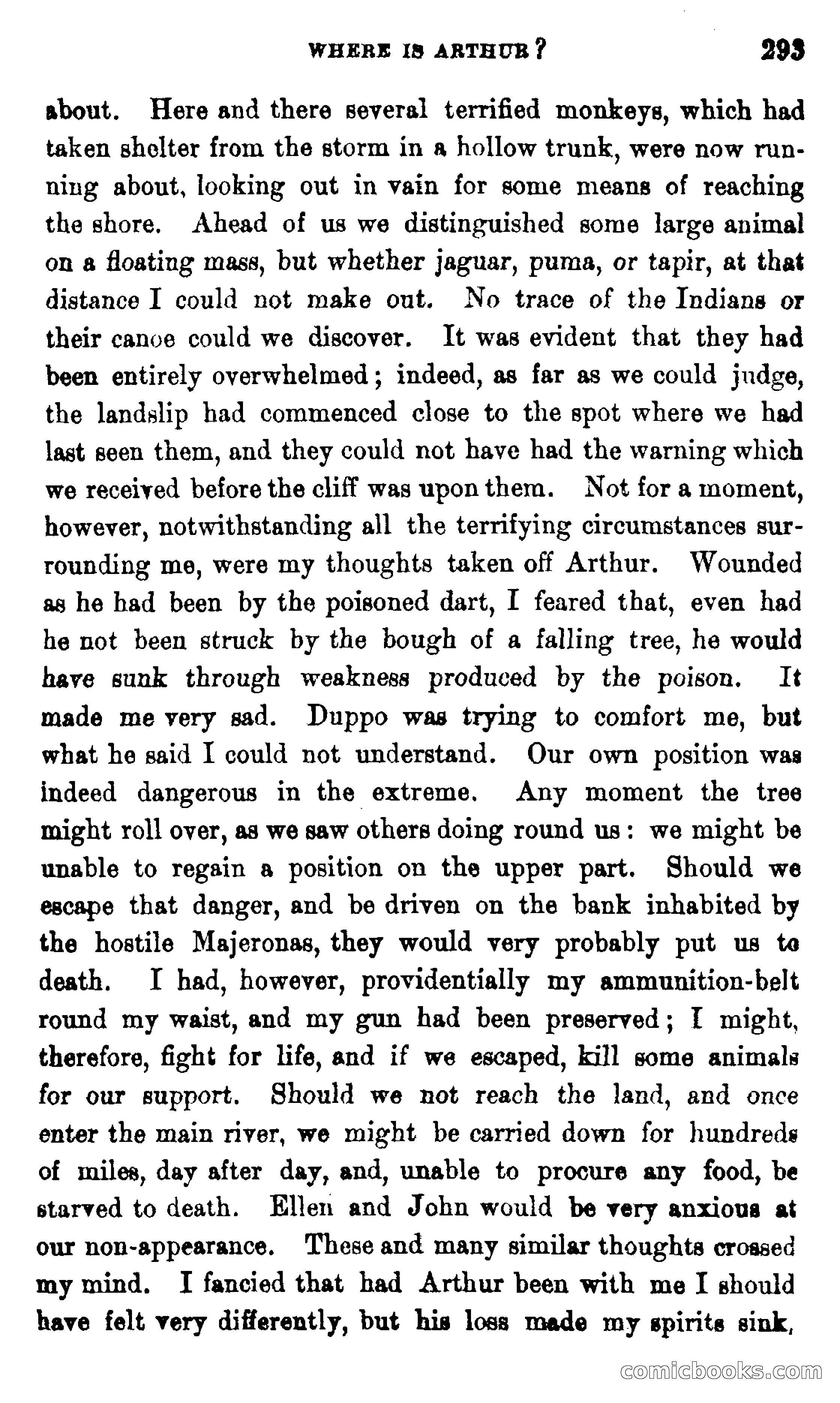 On the Banks of the Amazon — page 287 of 400