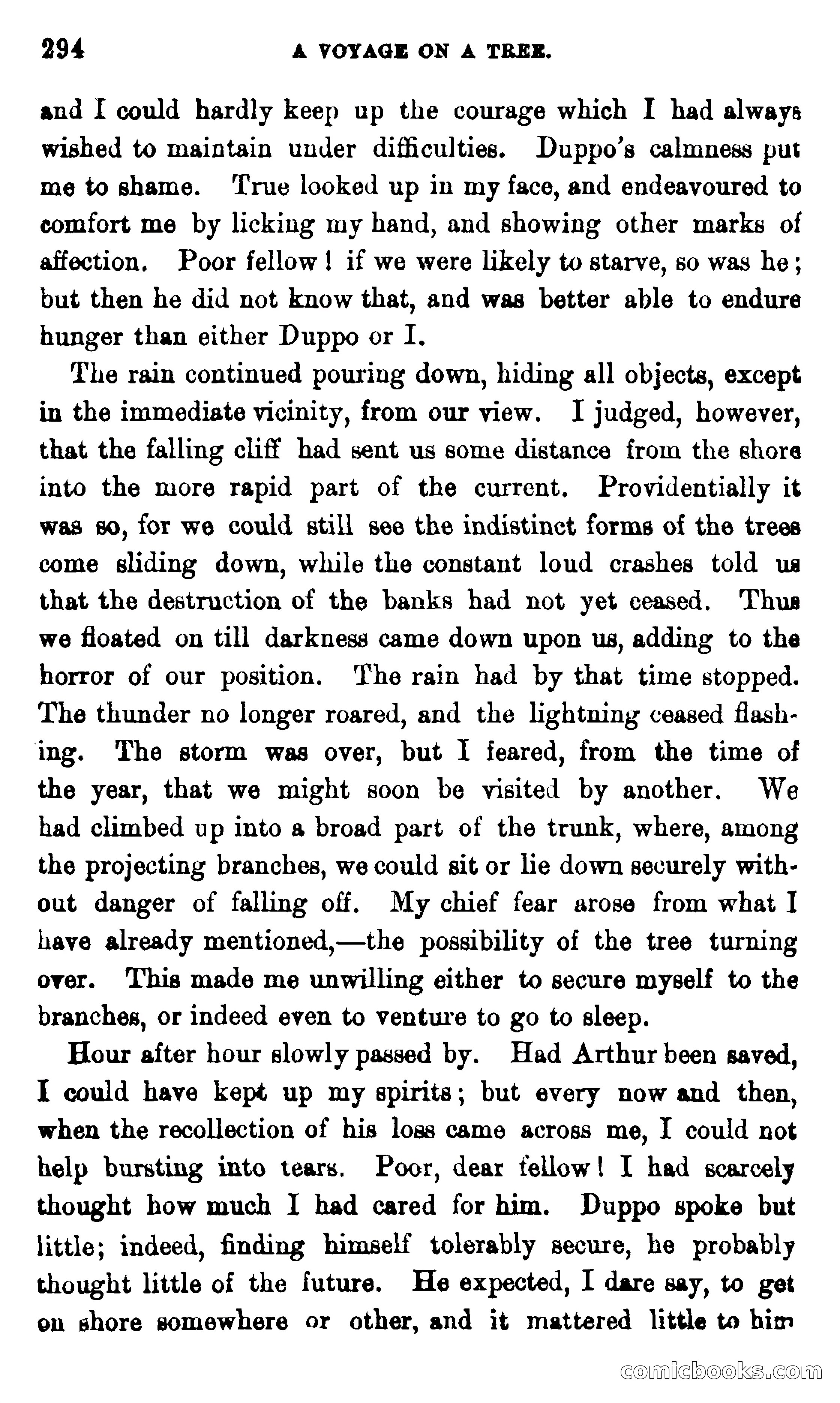 On the Banks of the Amazon — page 288 of 400