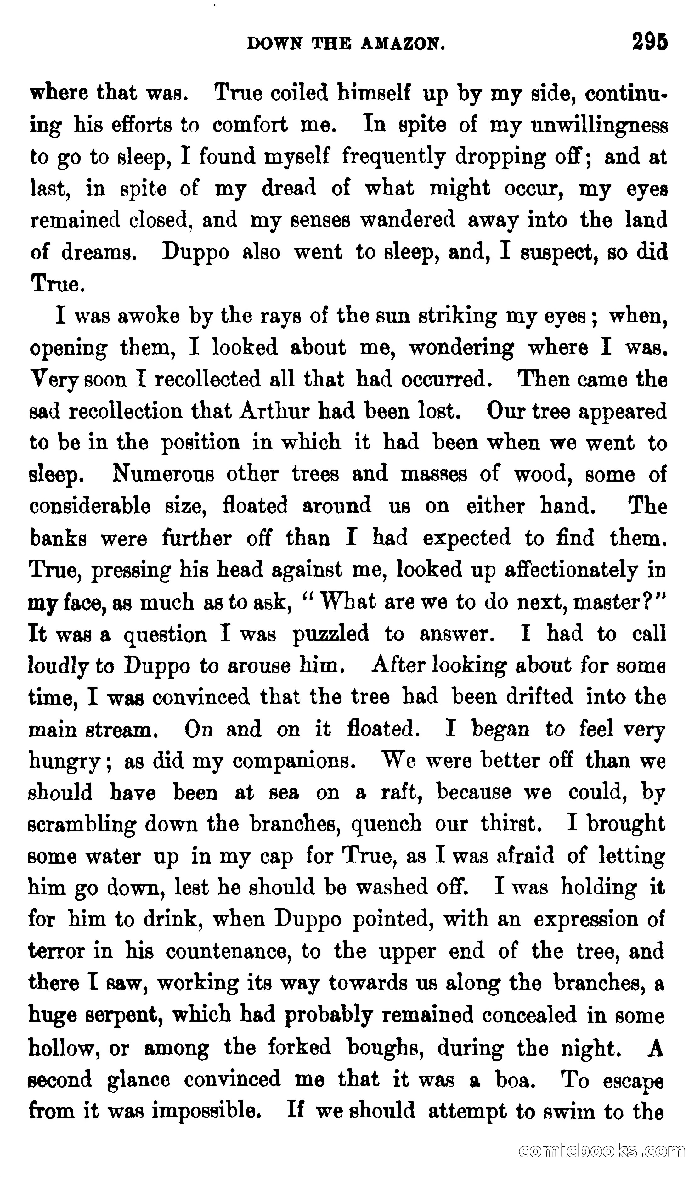 On the Banks of the Amazon — page 289 of 400