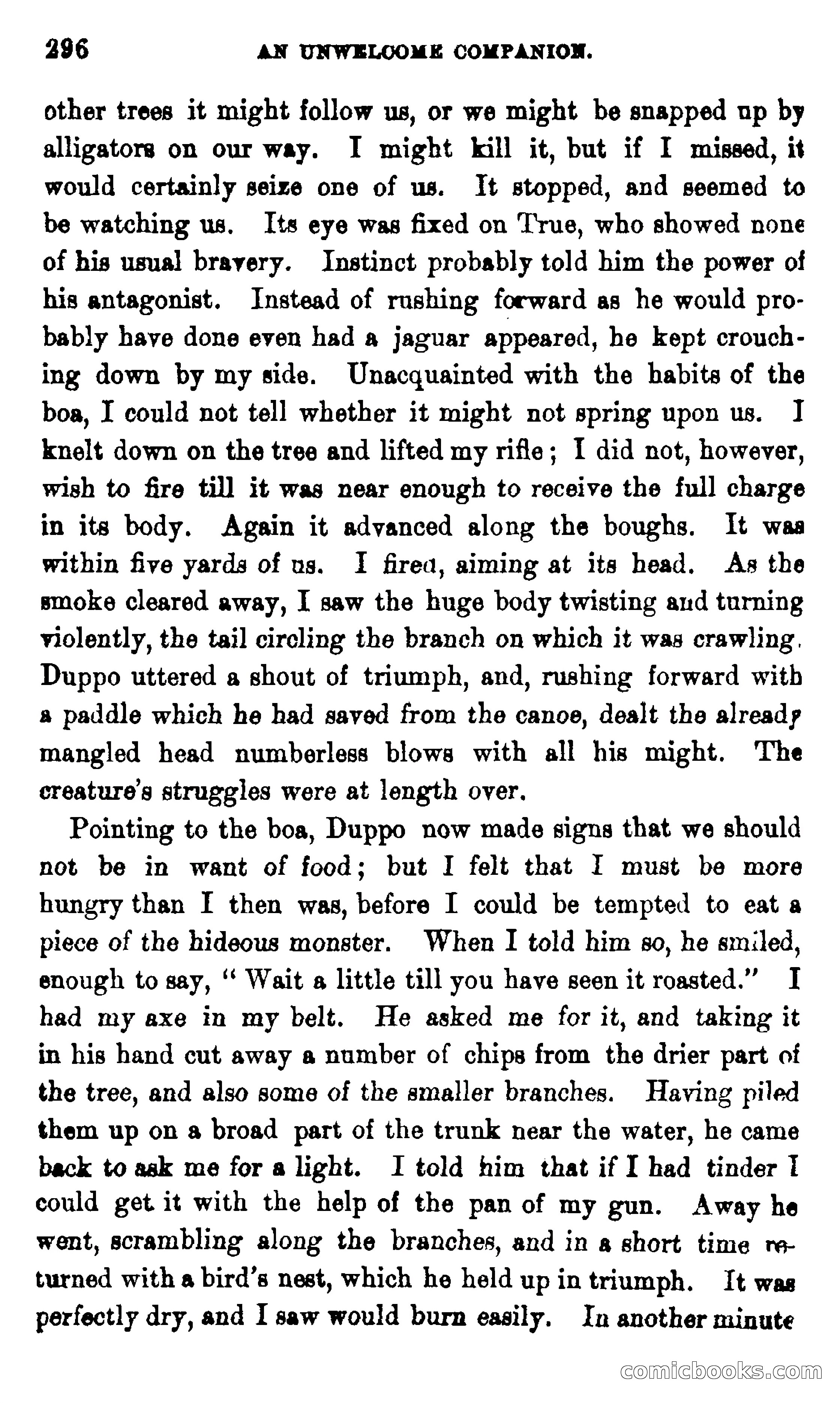 On the Banks of the Amazon — page 290 of 400