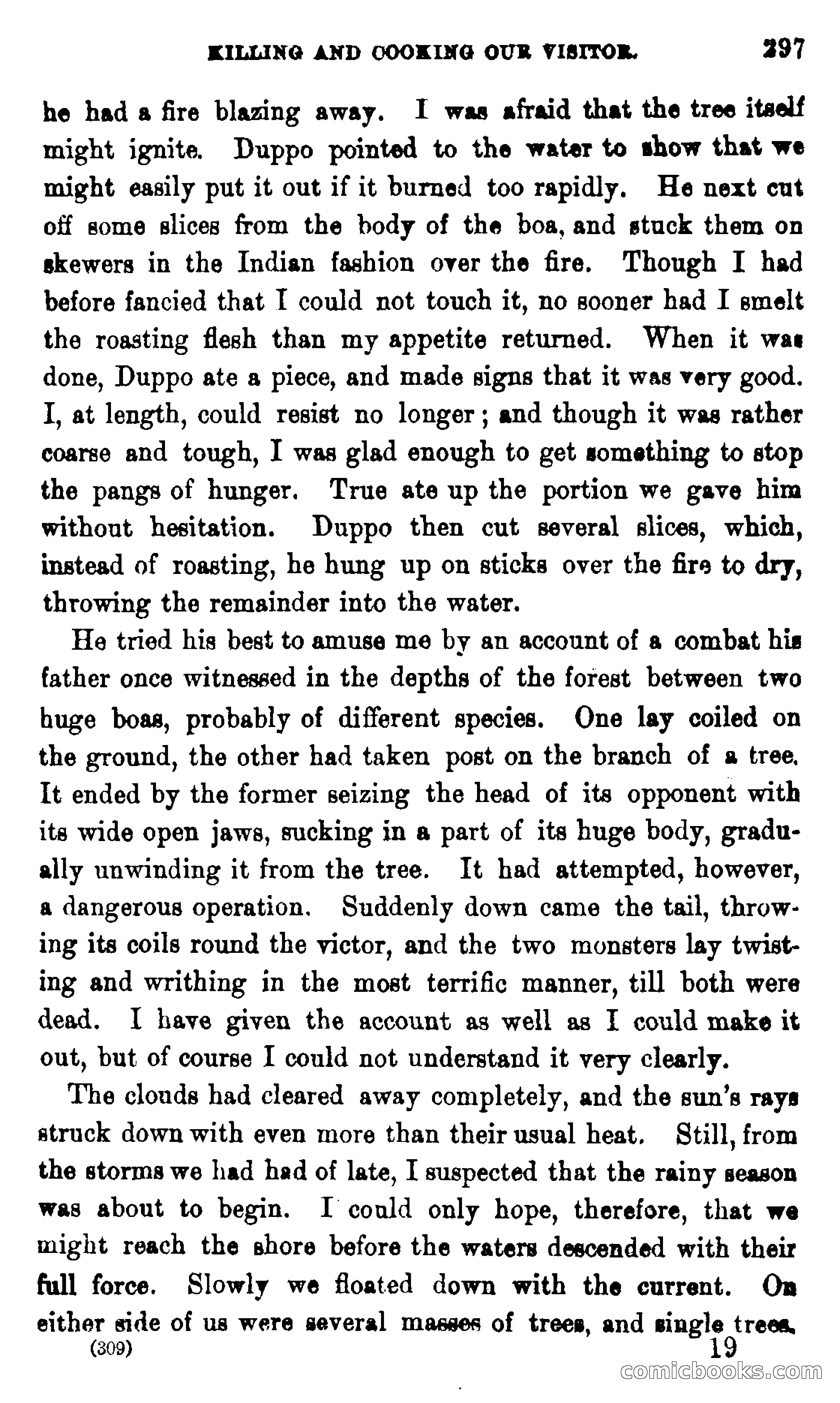 On the Banks of the Amazon — page 291 of 400