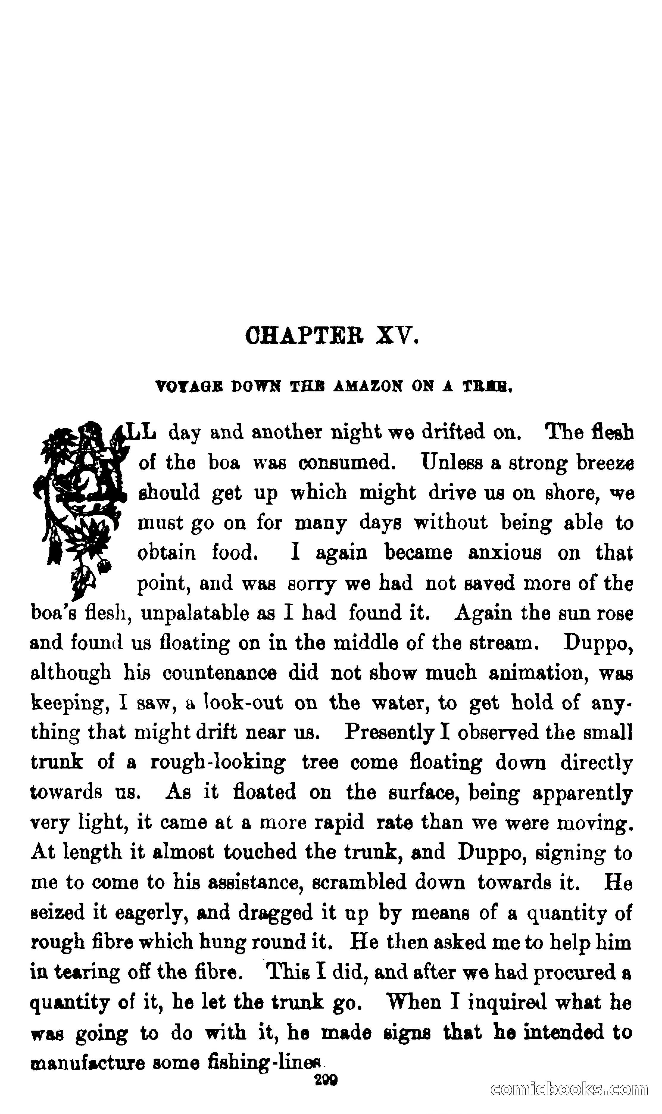 On the Banks of the Amazon — page 293 of 400