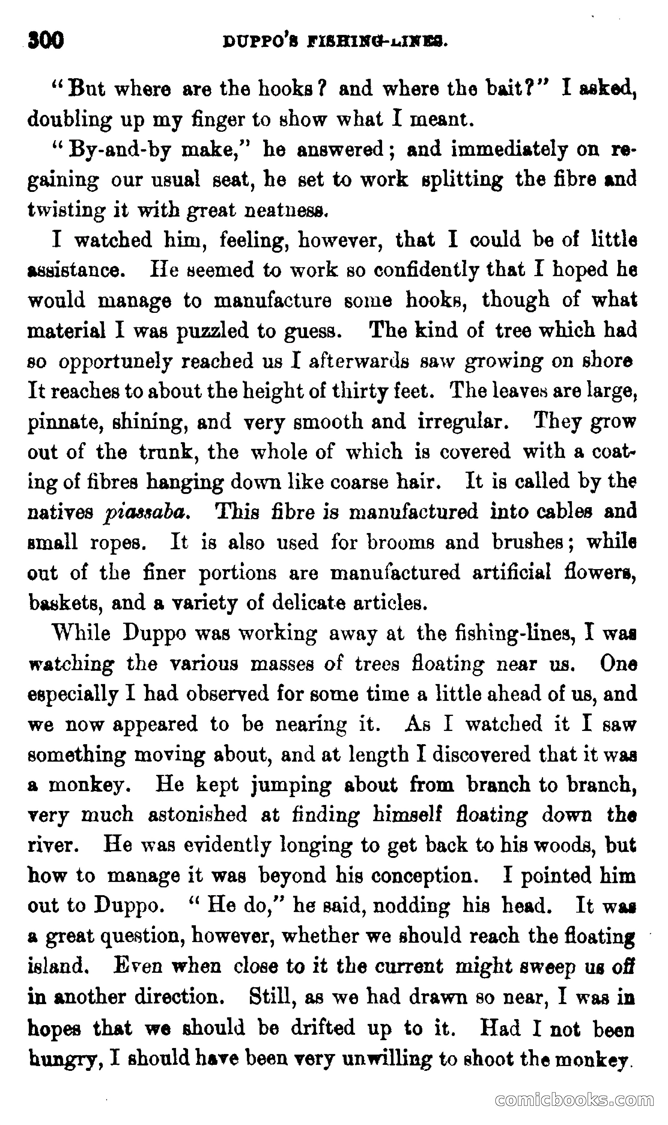 On the Banks of the Amazon — page 294 of 400