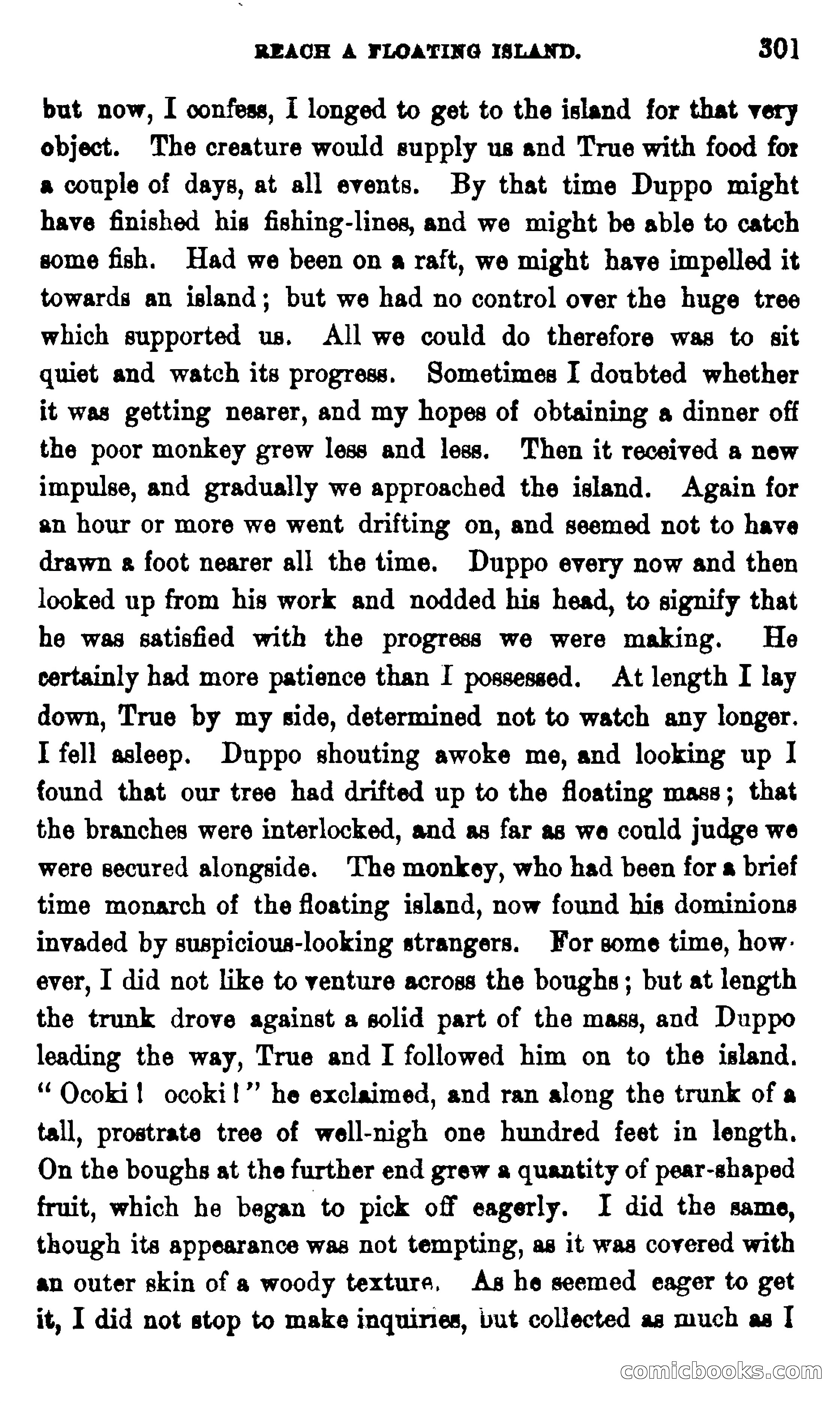On the Banks of the Amazon — page 295 of 400