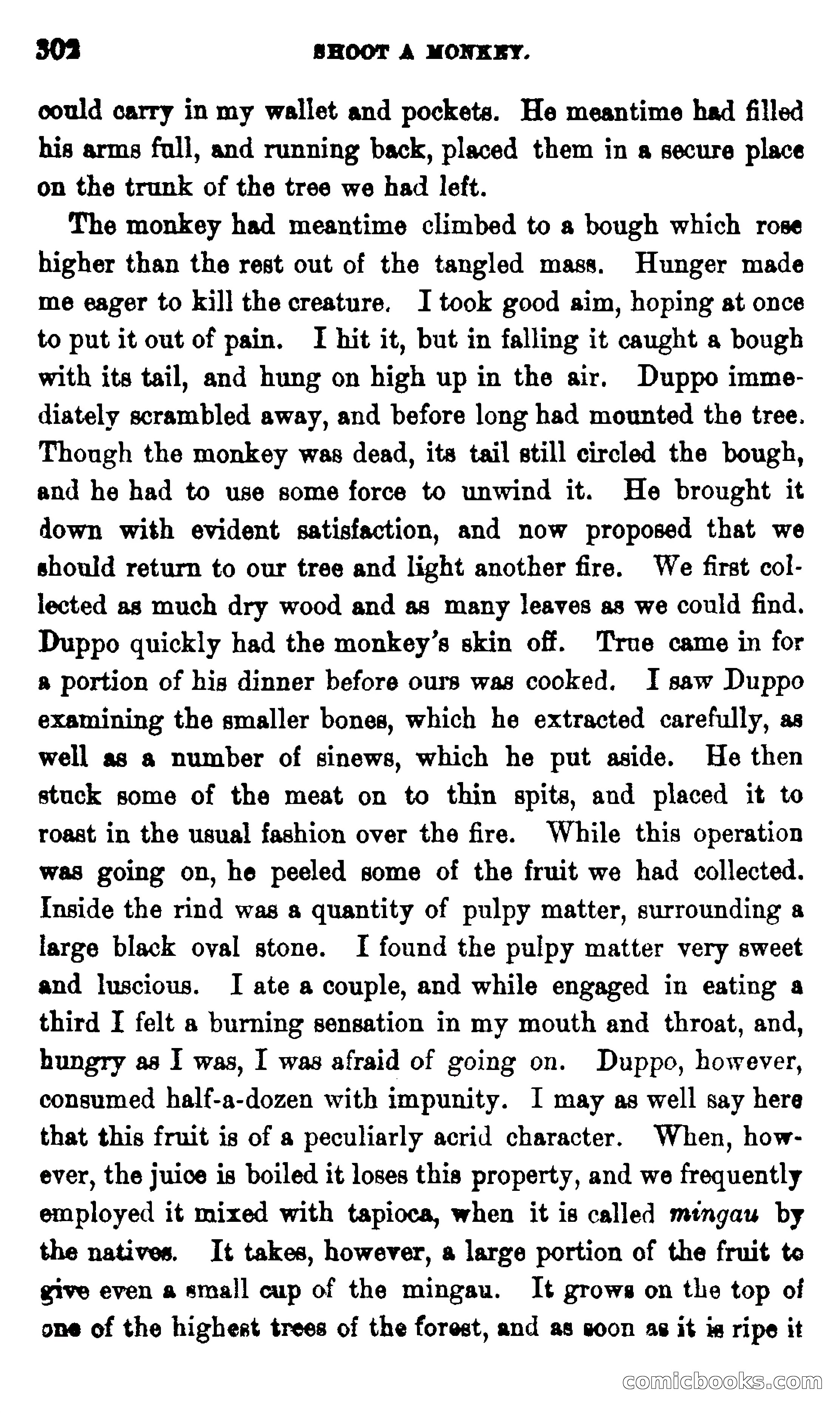 On the Banks of the Amazon — page 296 of 400