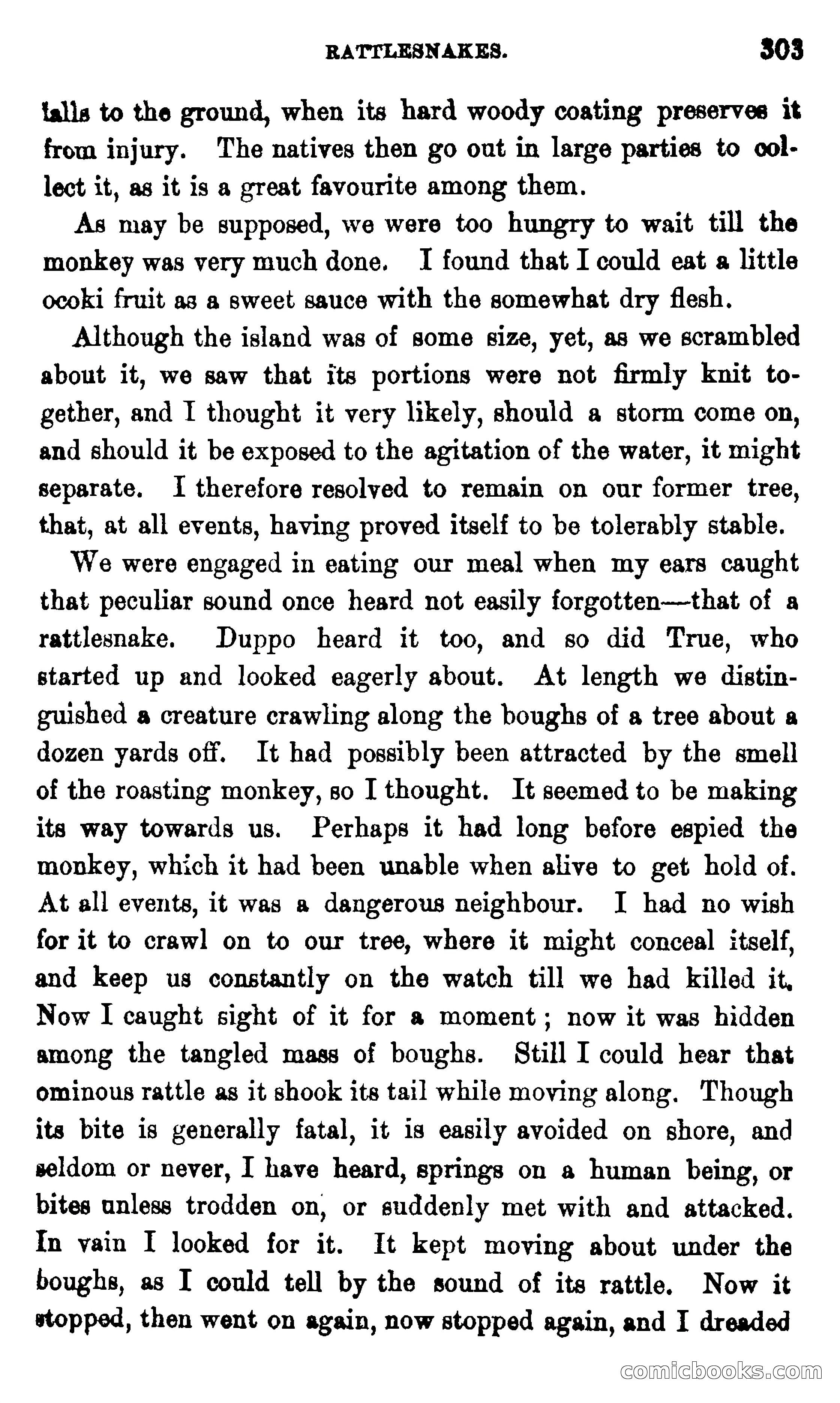 On the Banks of the Amazon — page 297 of 400