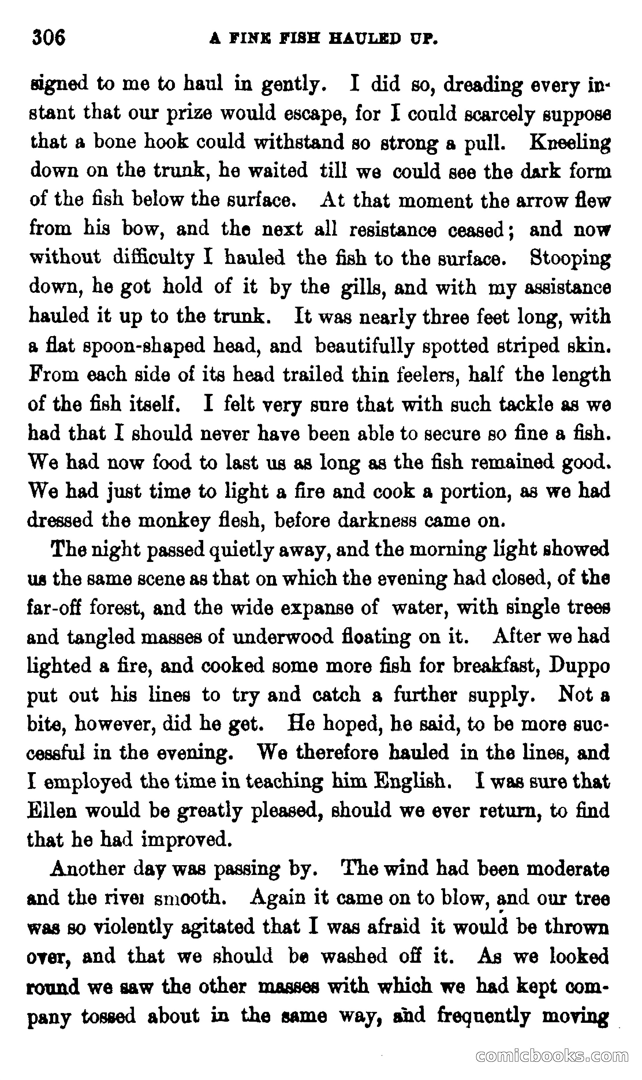 On the Banks of the Amazon — page 300 of 400