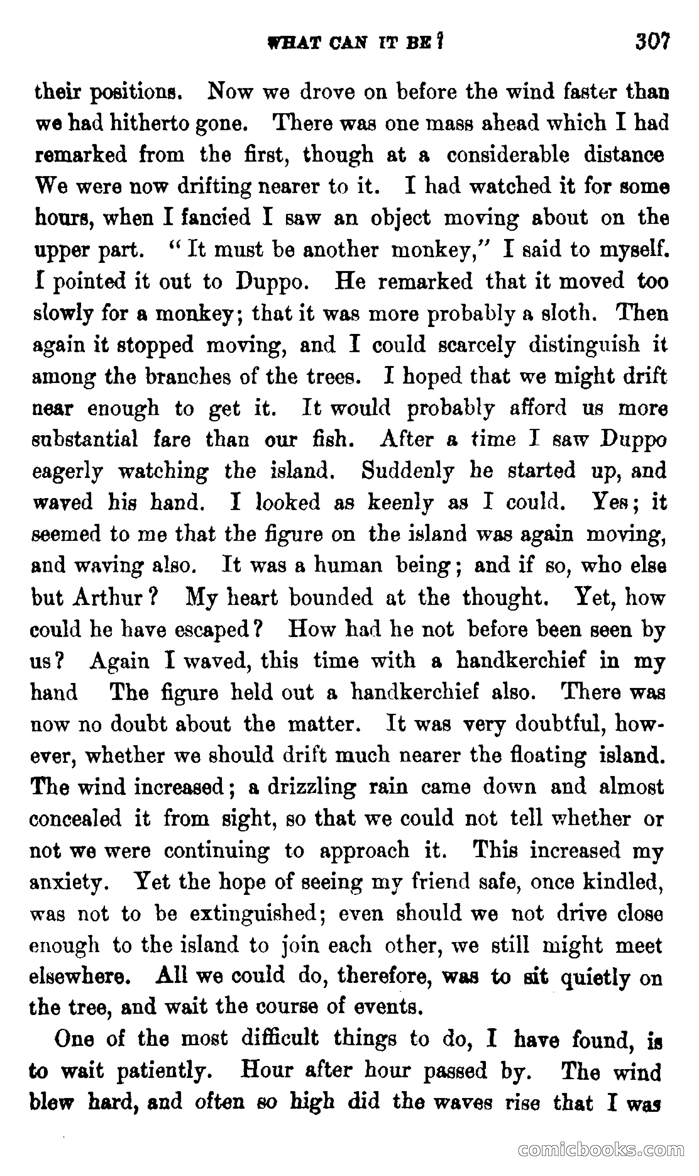 On the Banks of the Amazon — page 301 of 400