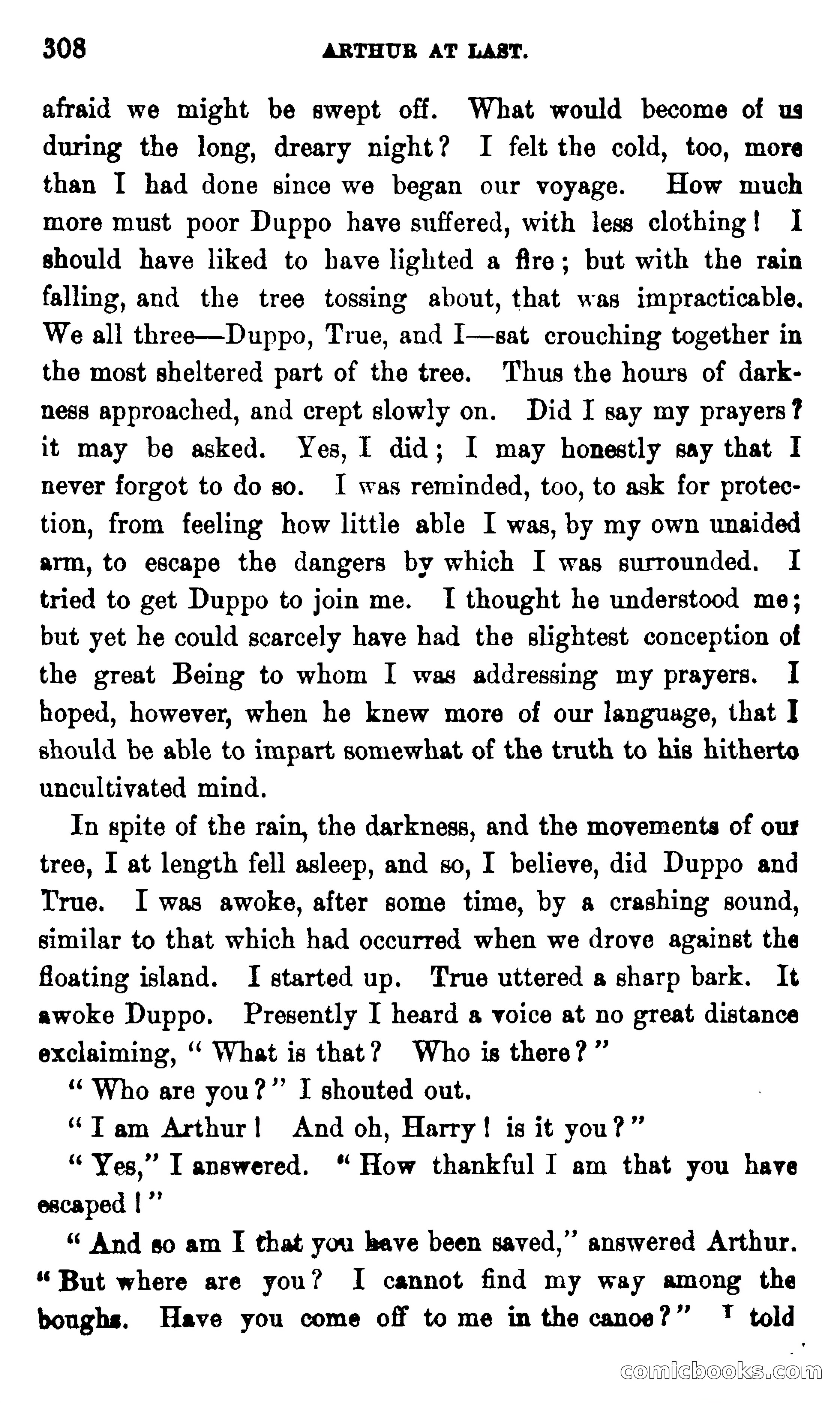 On the Banks of the Amazon — page 302 of 400