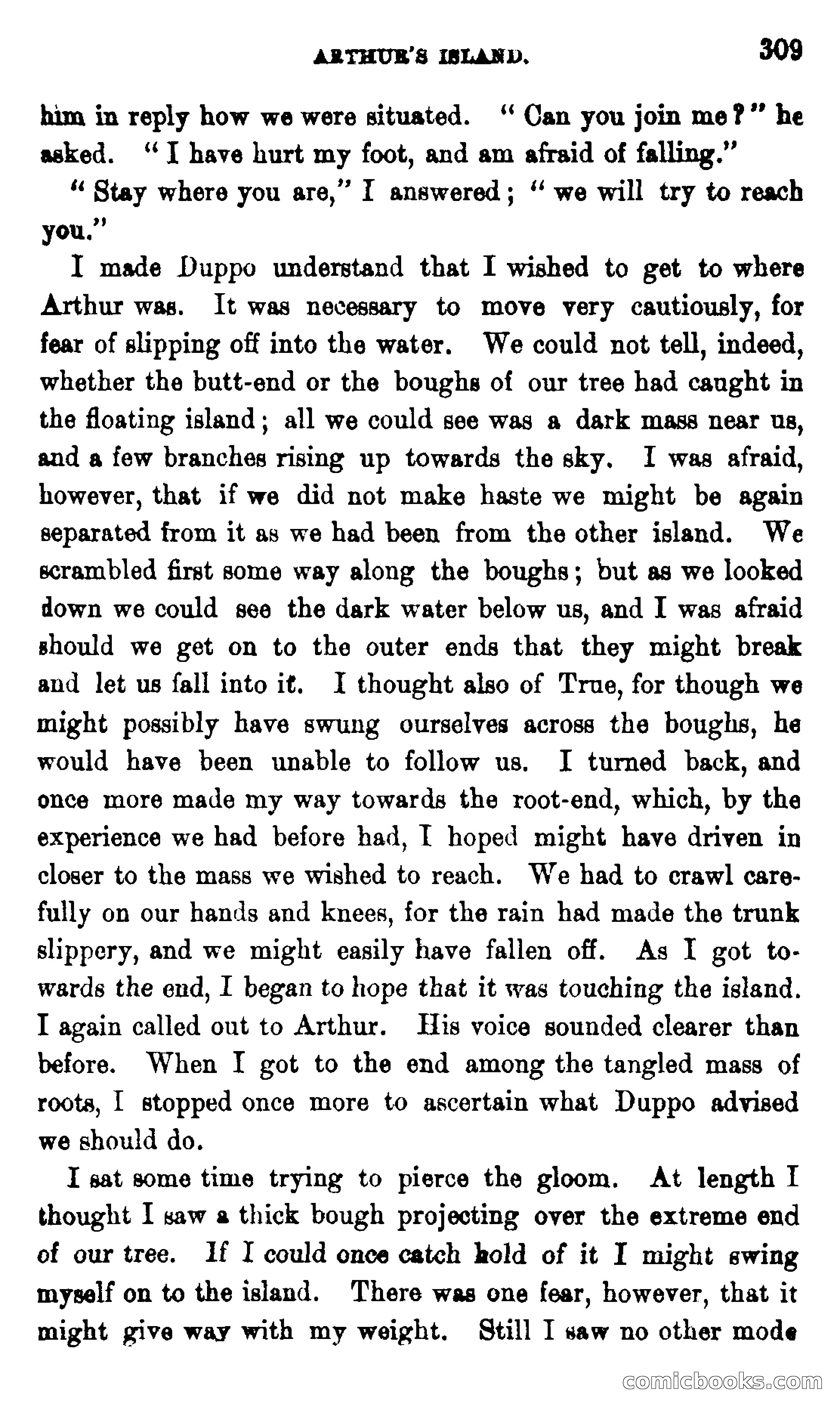 On the Banks of the Amazon — page 303 of 400