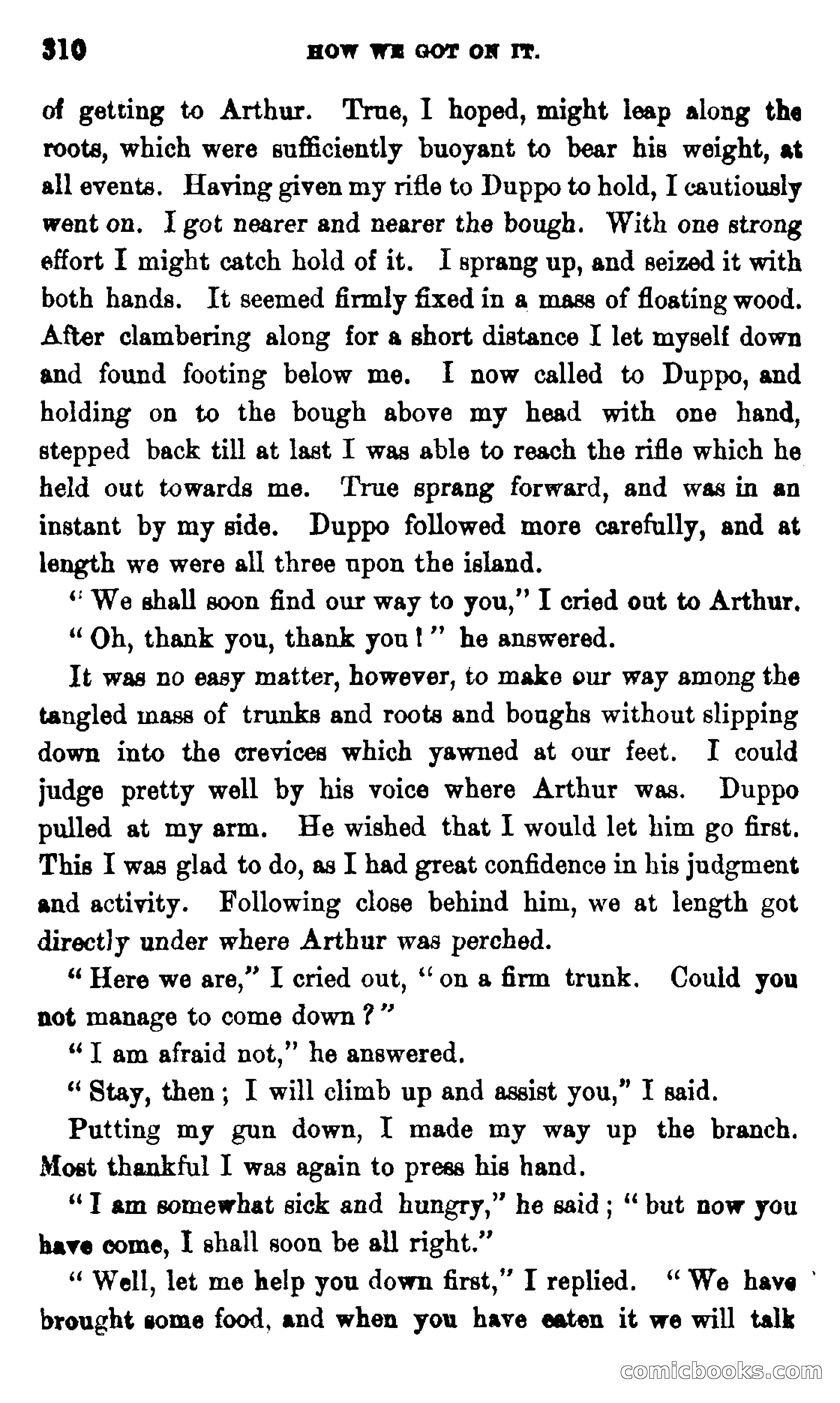 On the Banks of the Amazon — page 304 of 400