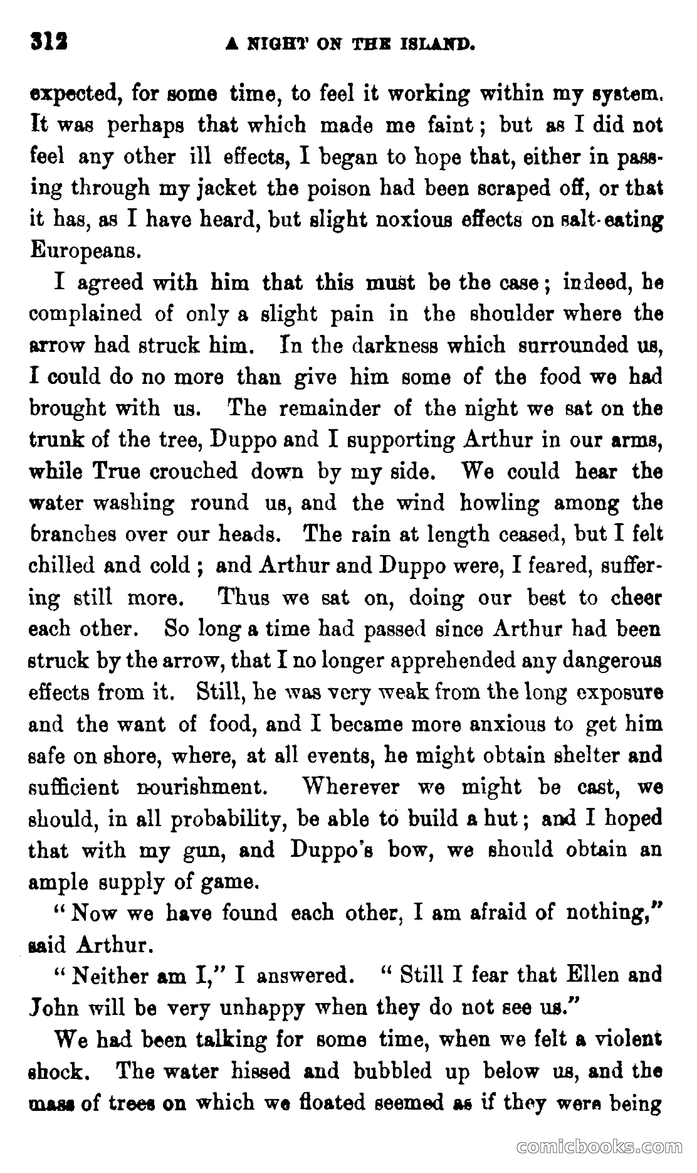 On the Banks of the Amazon — page 306 of 400