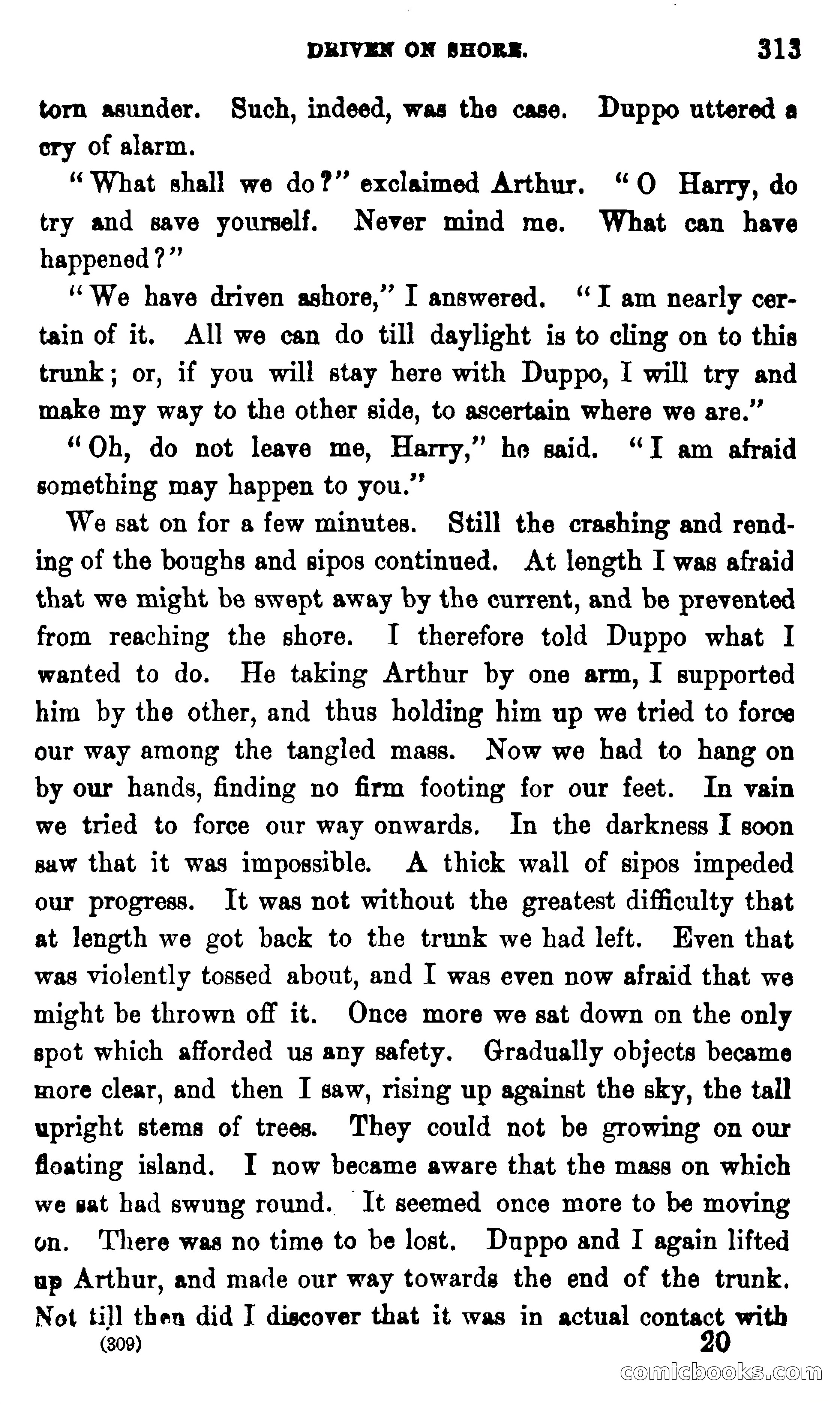 On the Banks of the Amazon — page 307 of 400