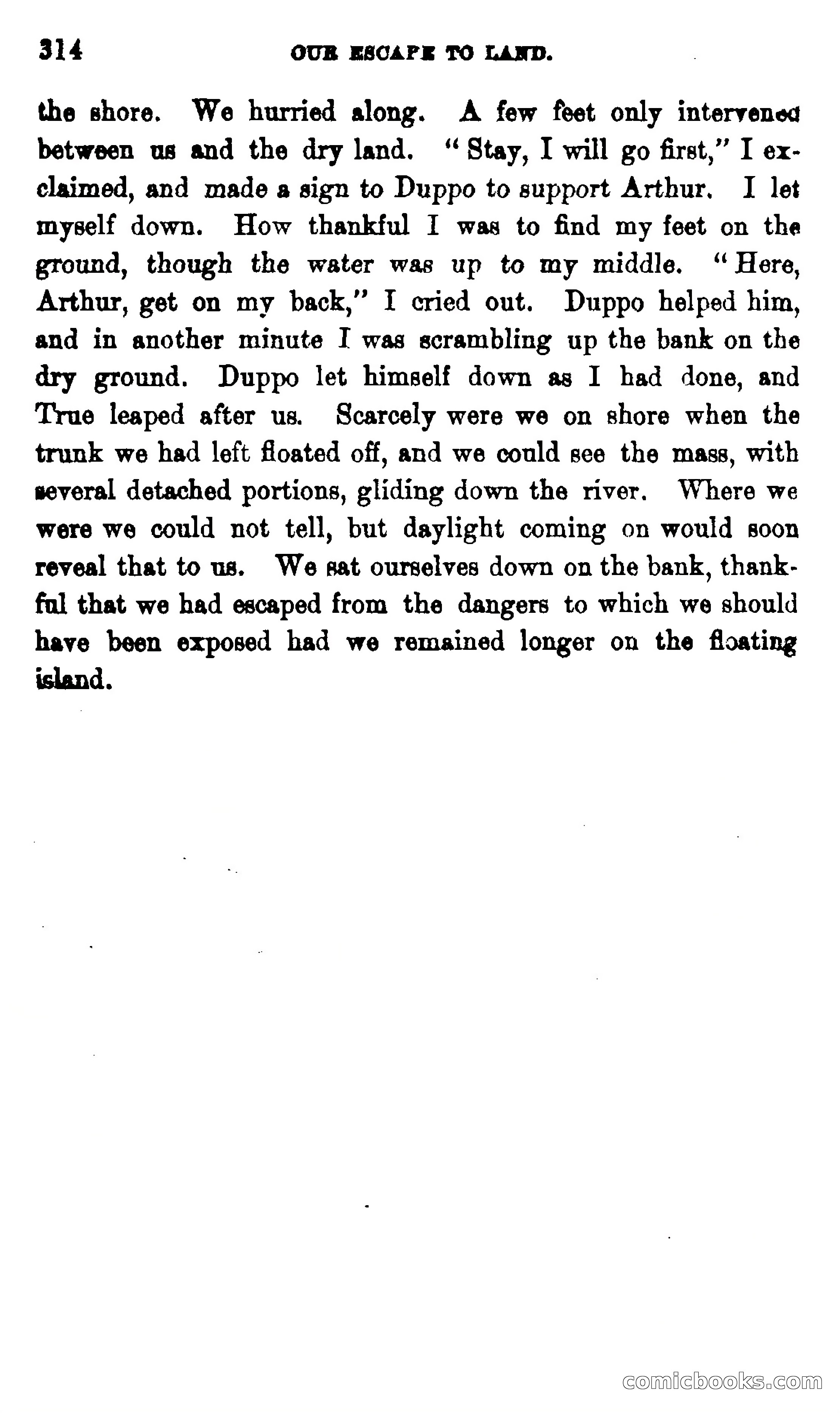 On the Banks of the Amazon — page 308 of 400