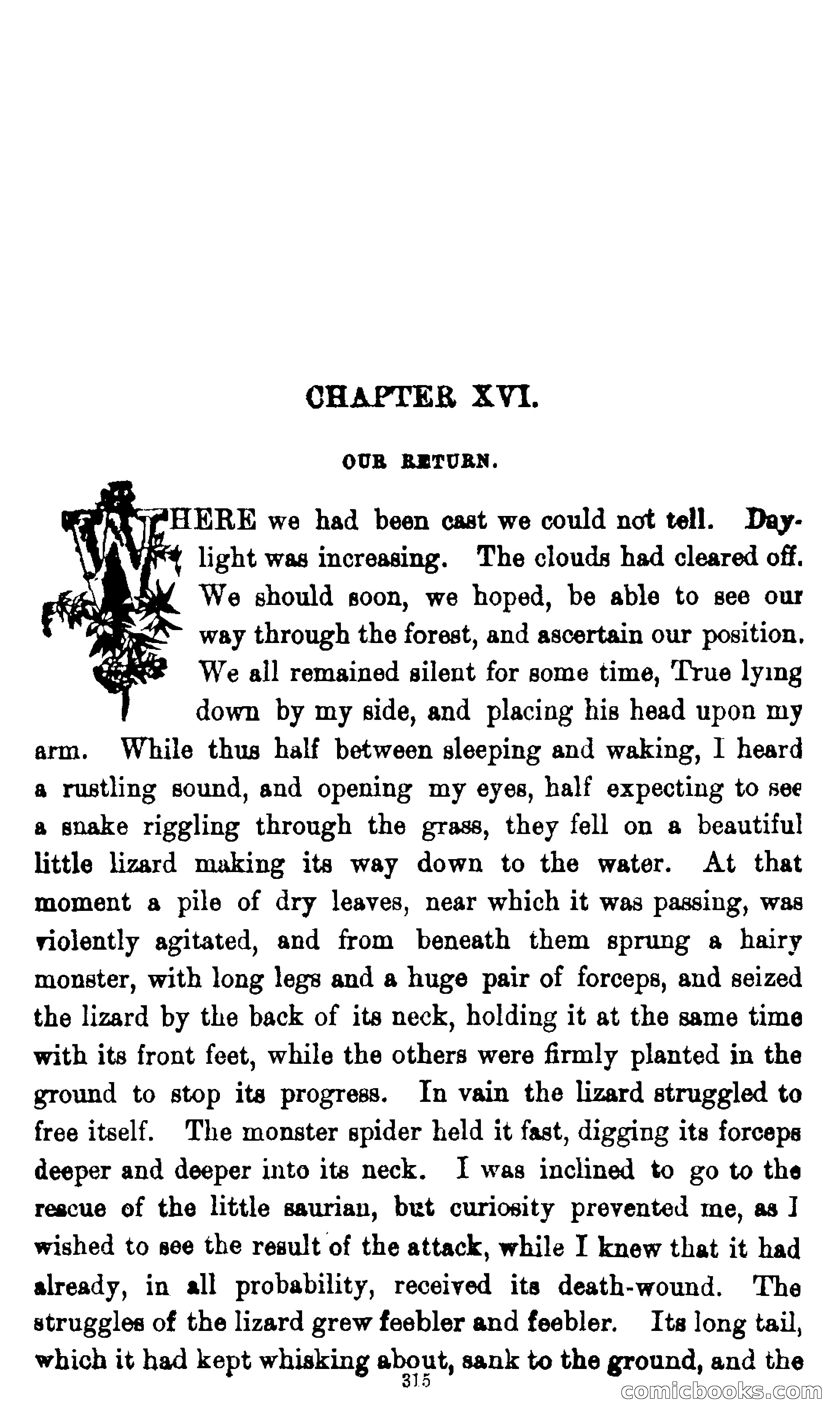 On the Banks of the Amazon — page 309 of 400