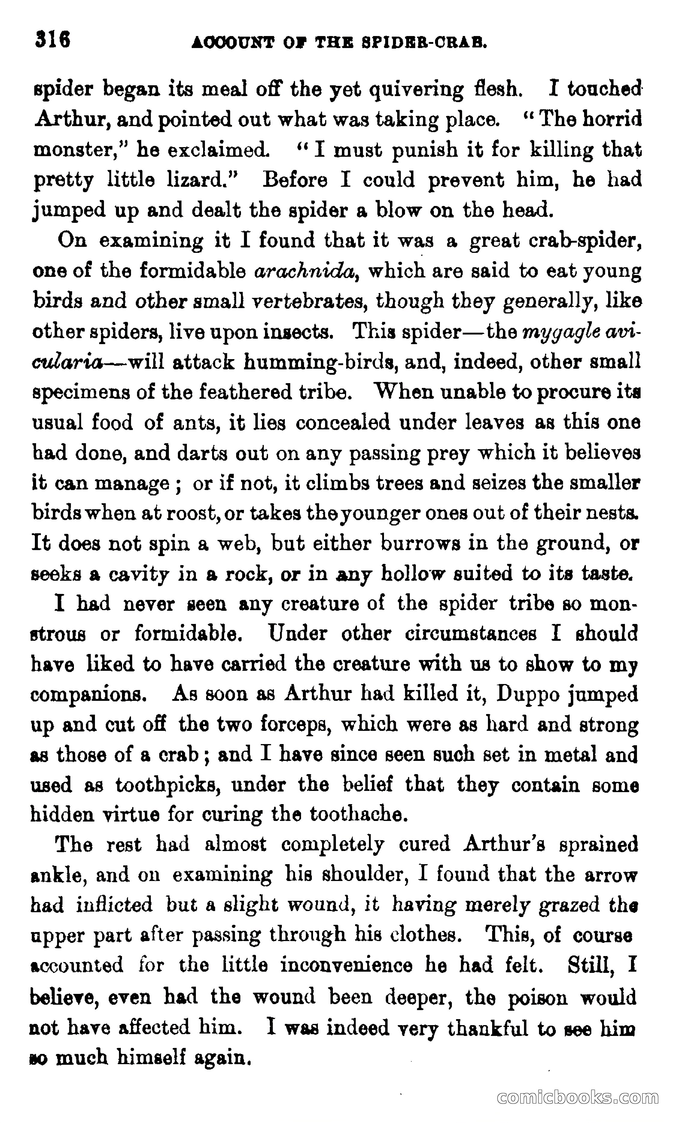 On the Banks of the Amazon — page 310 of 400