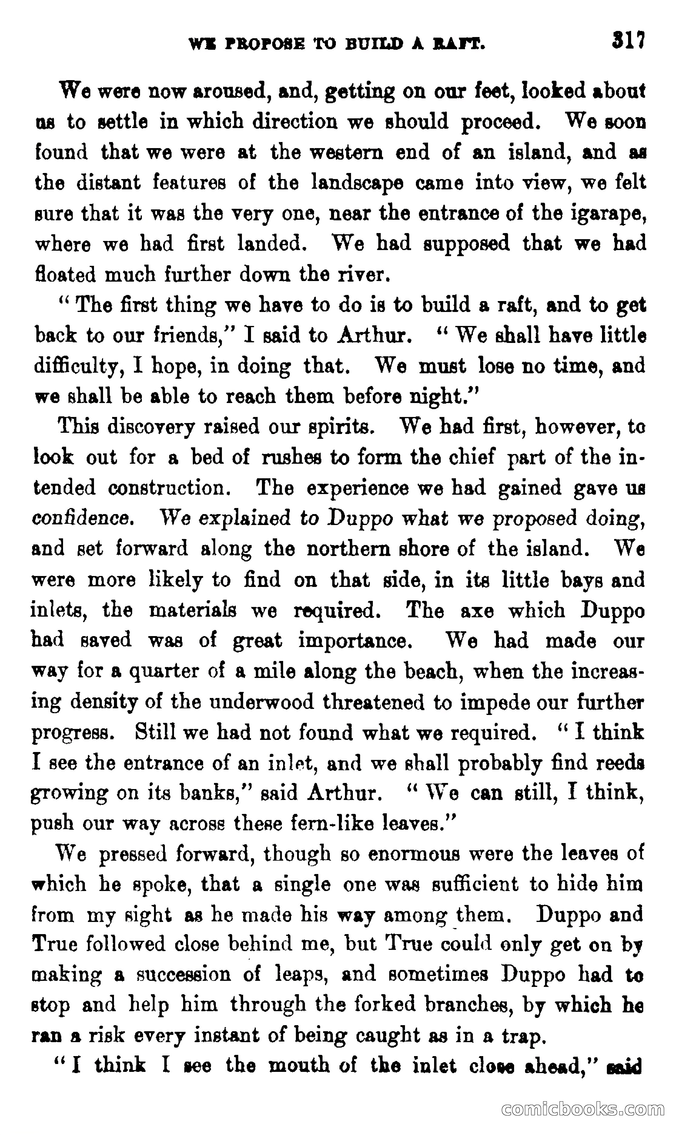 On the Banks of the Amazon — page 311 of 400