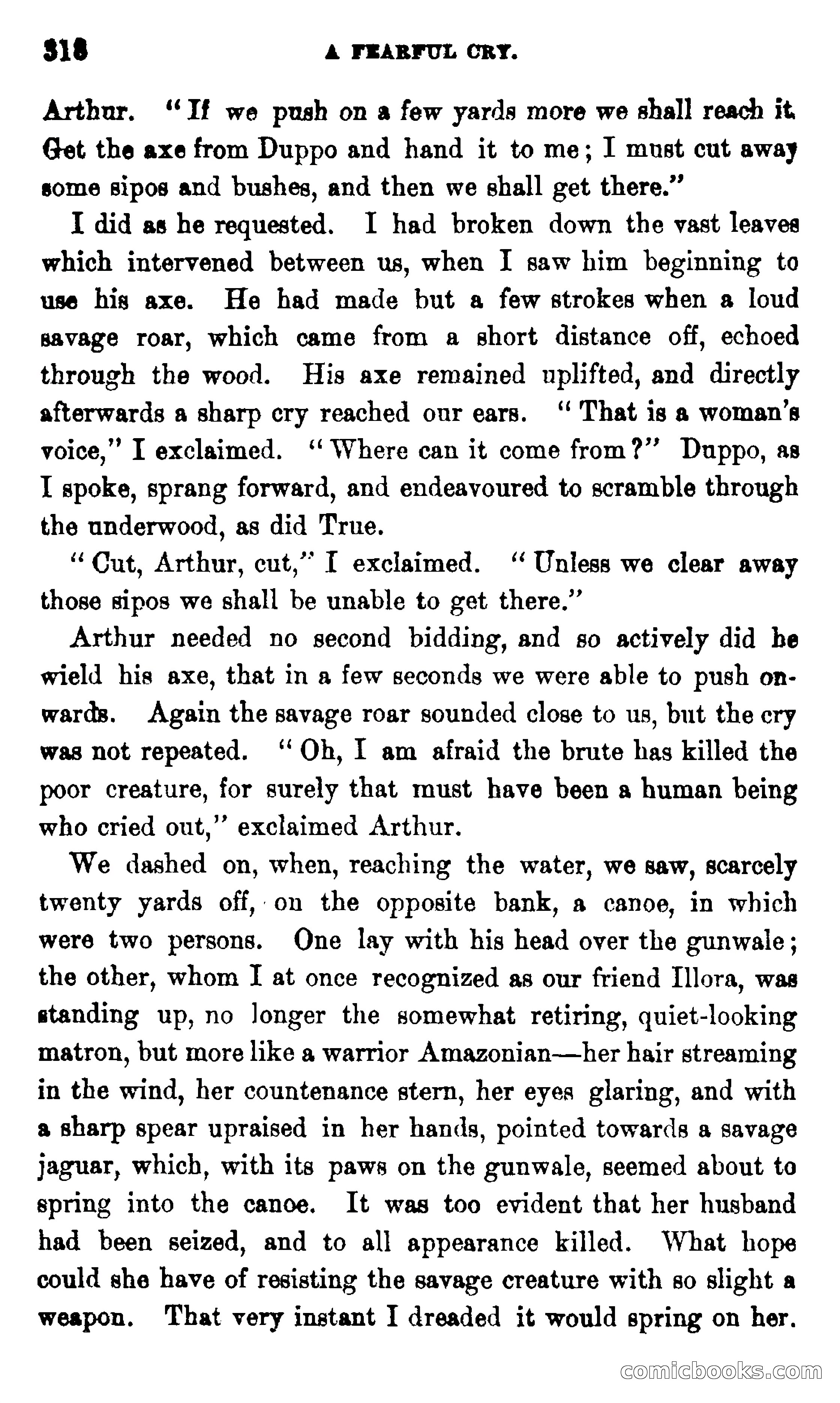 On the Banks of the Amazon — page 312 of 400
