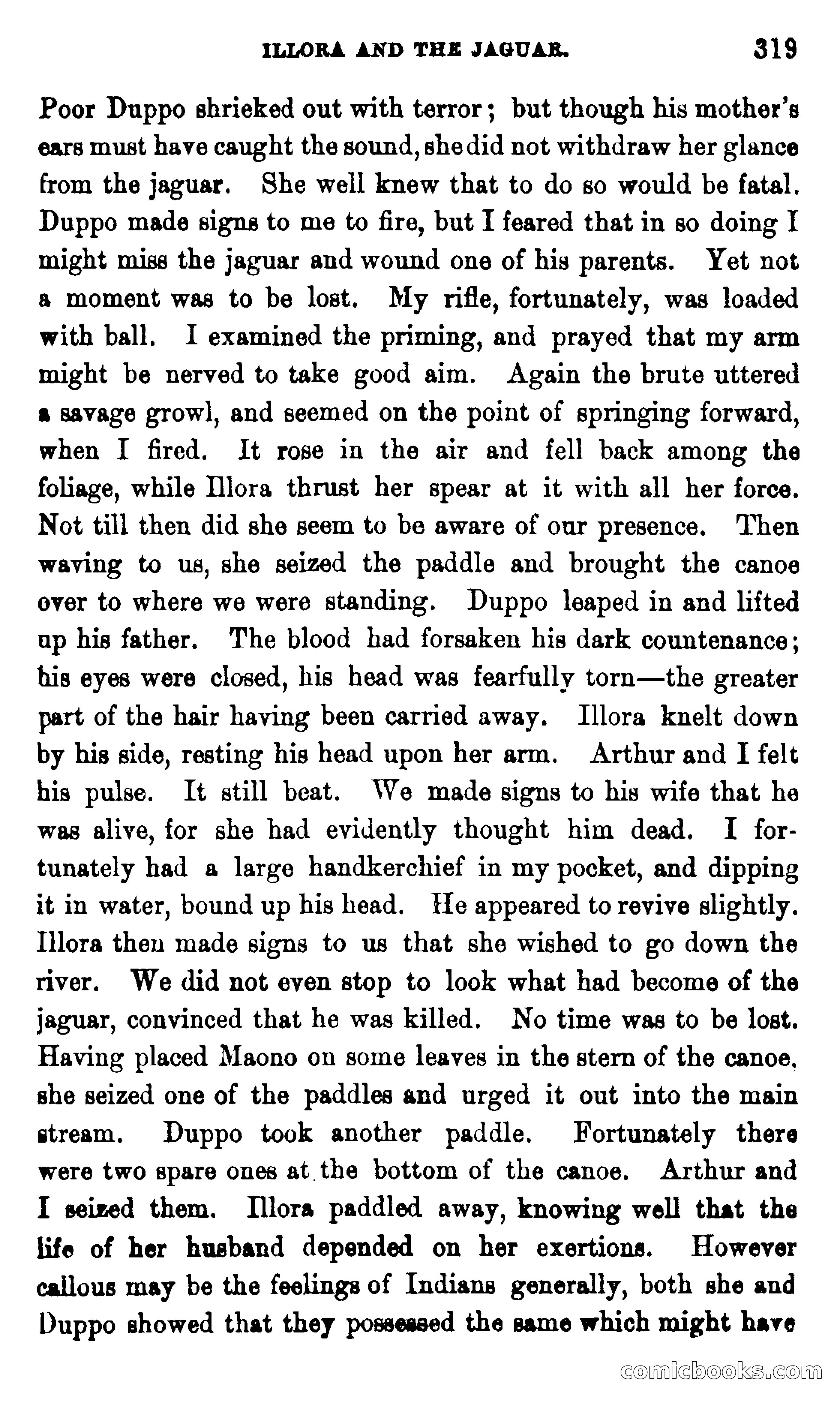 On the Banks of the Amazon — page 313 of 400