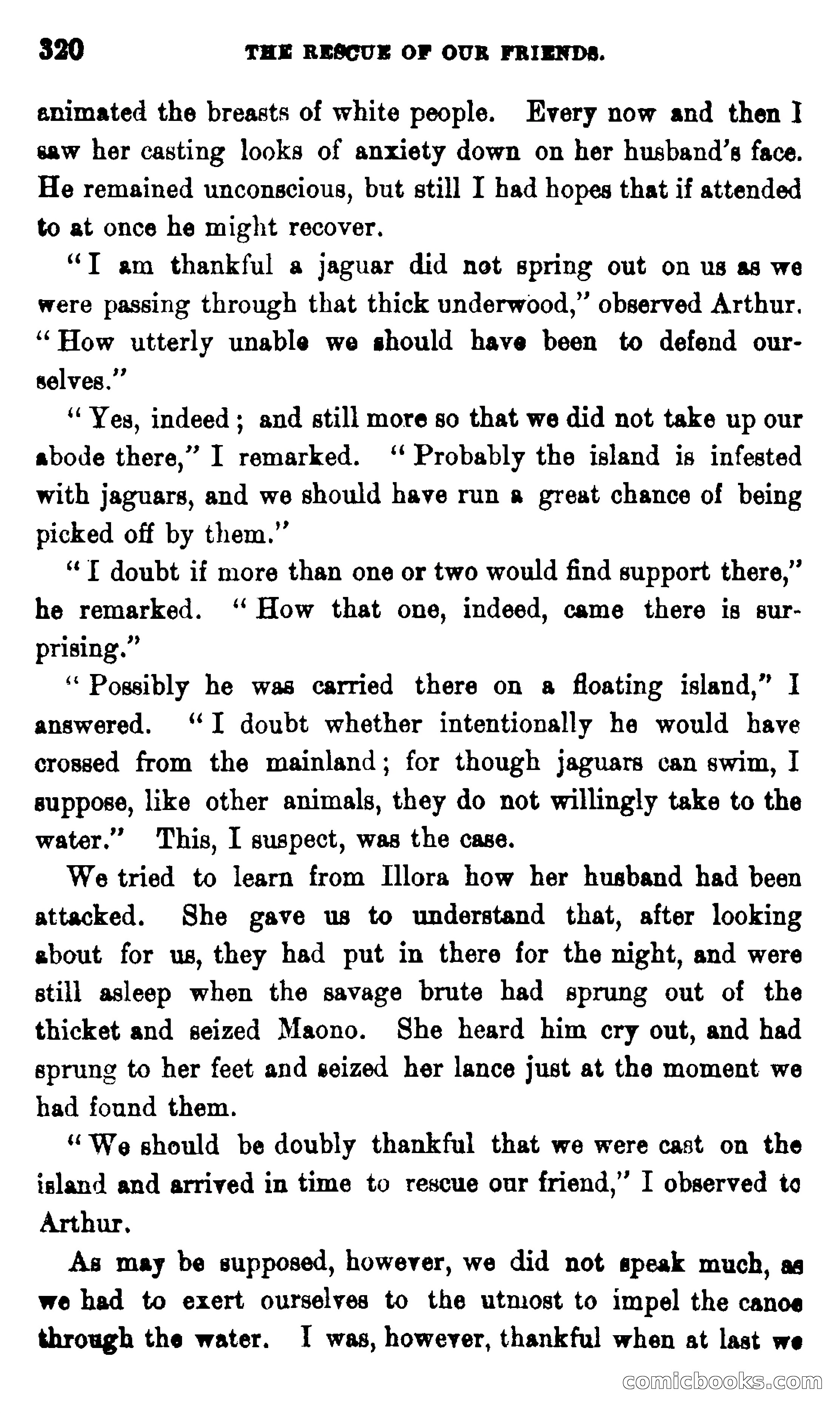 On the Banks of the Amazon — page 314 of 400