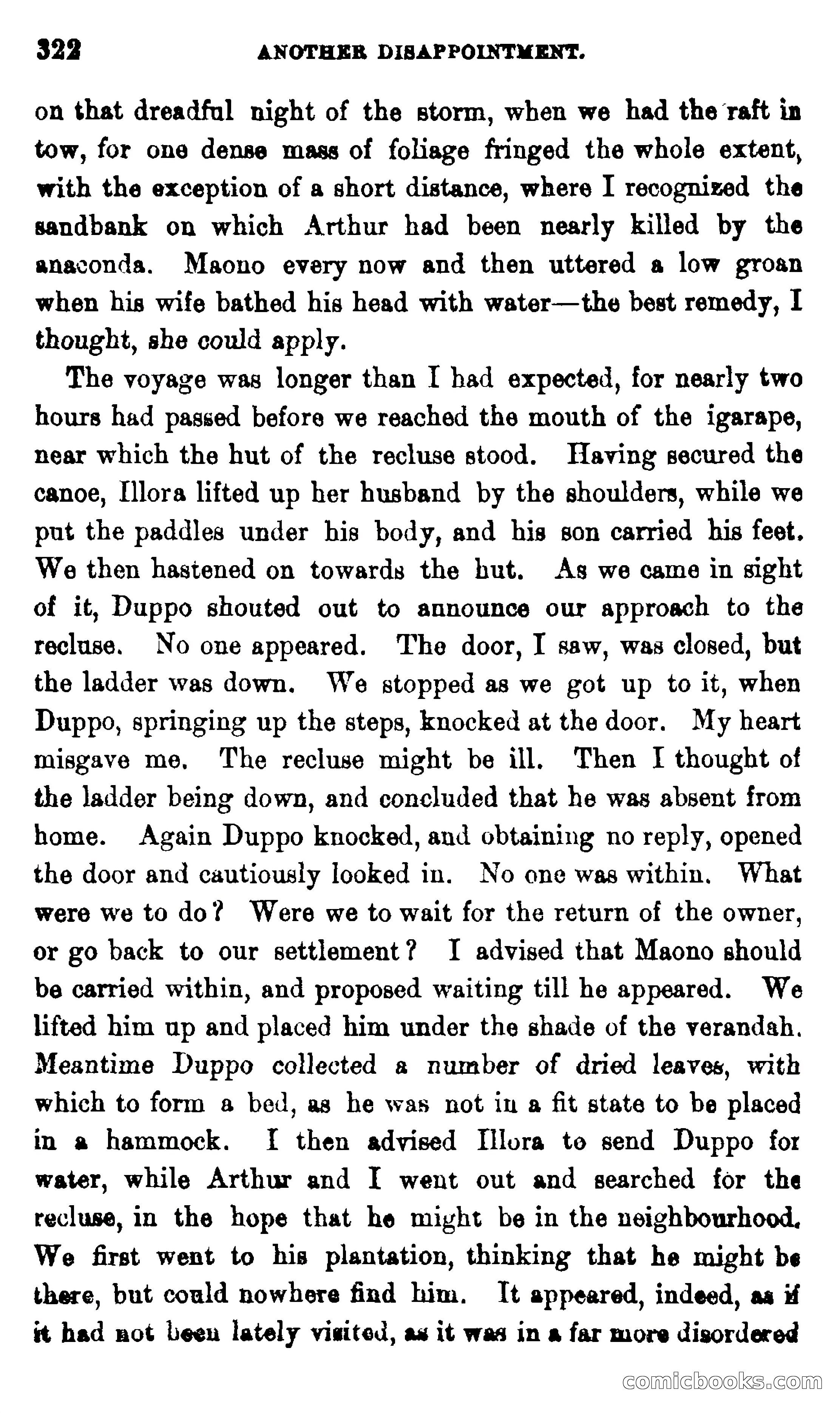 On the Banks of the Amazon — page 316 of 400