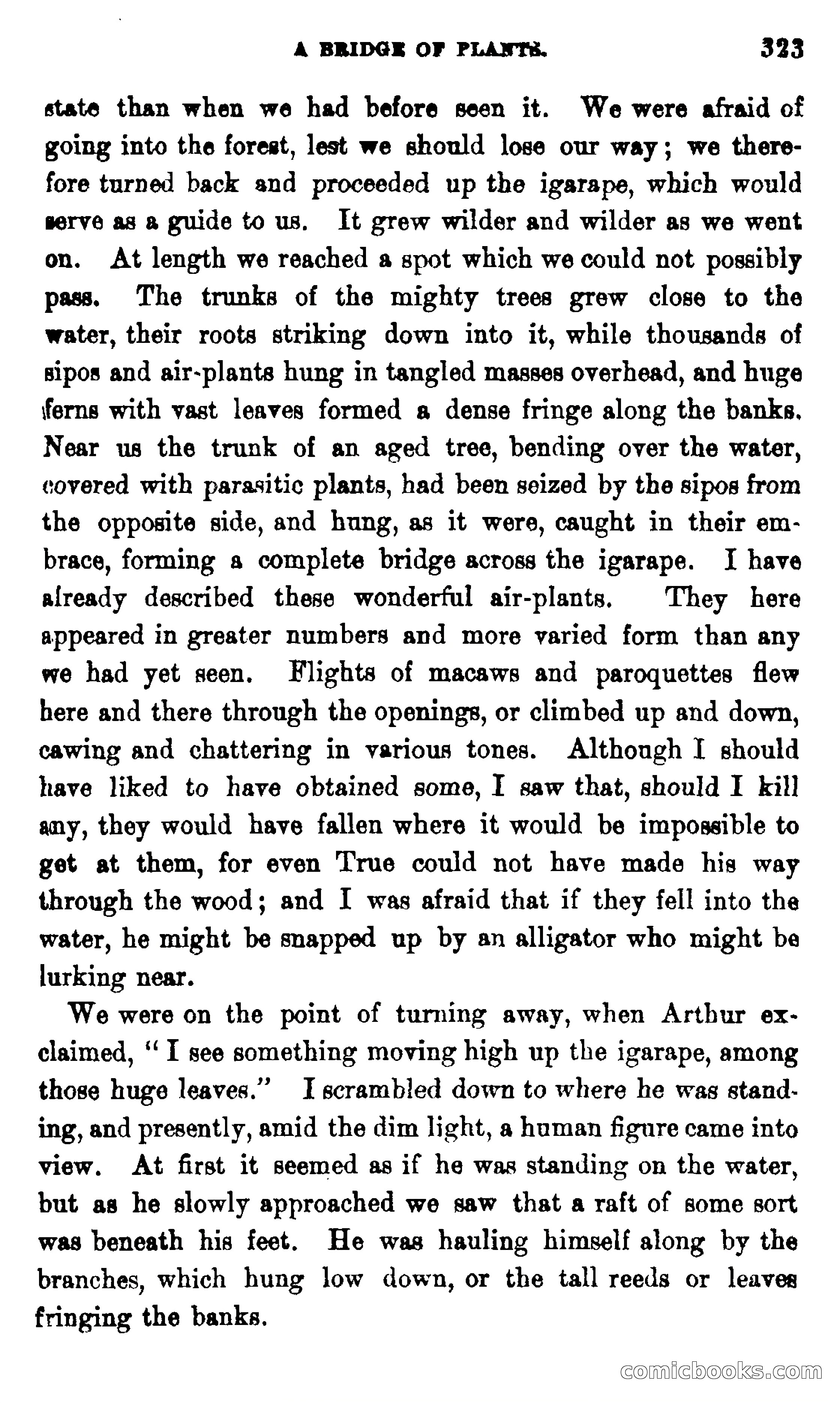 On the Banks of the Amazon — page 317 of 400