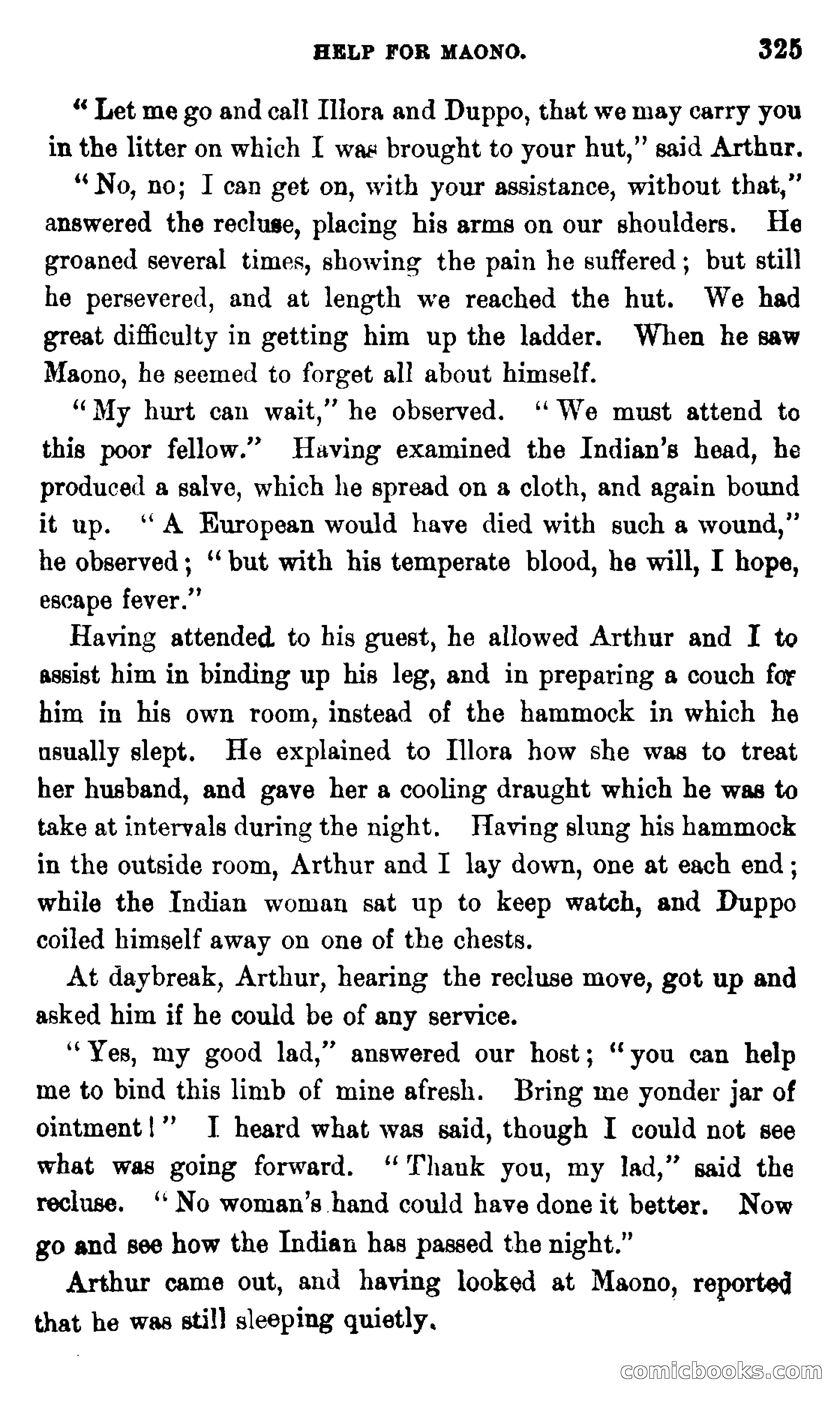 On the Banks of the Amazon — page 319 of 400
