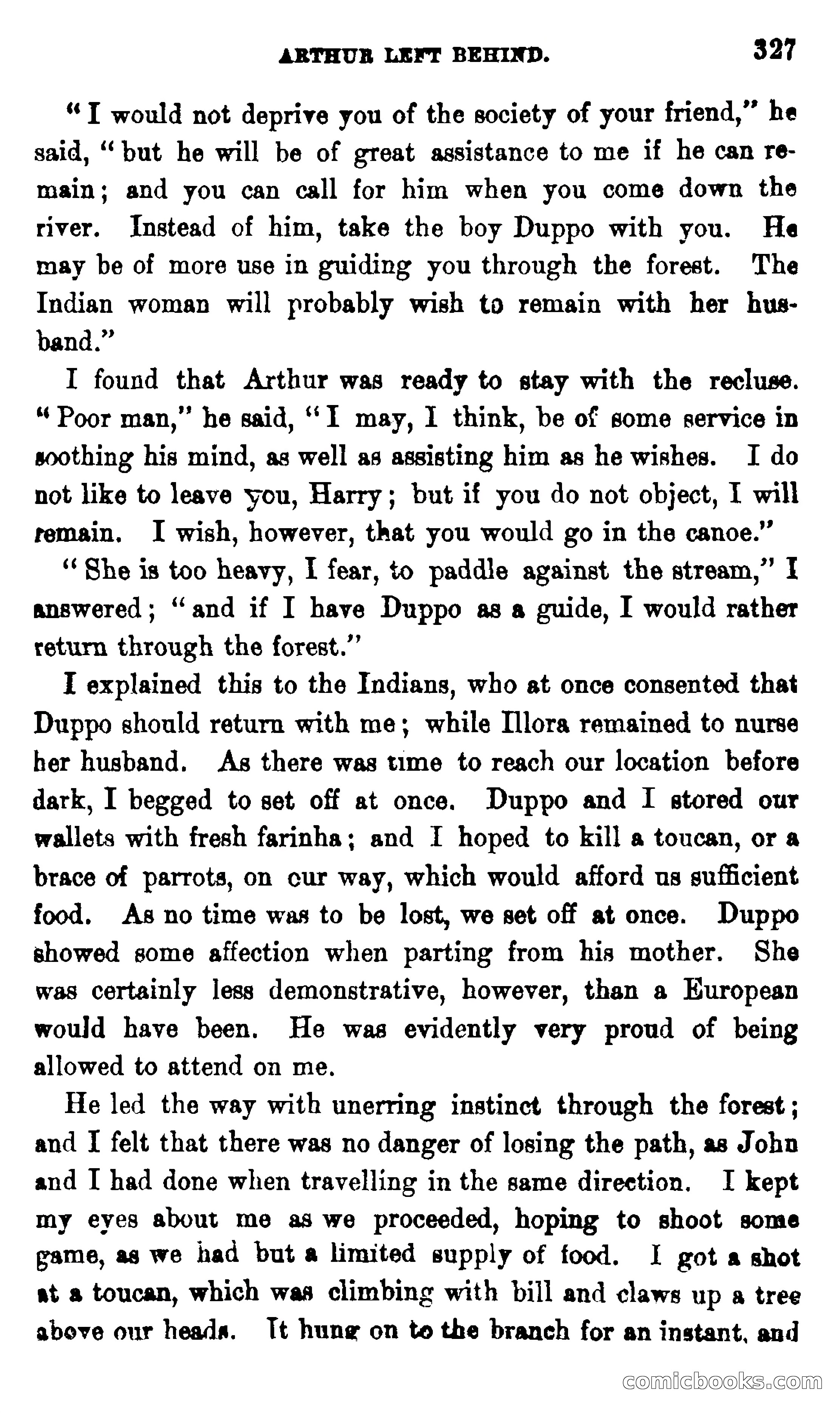On the Banks of the Amazon — page 321 of 400