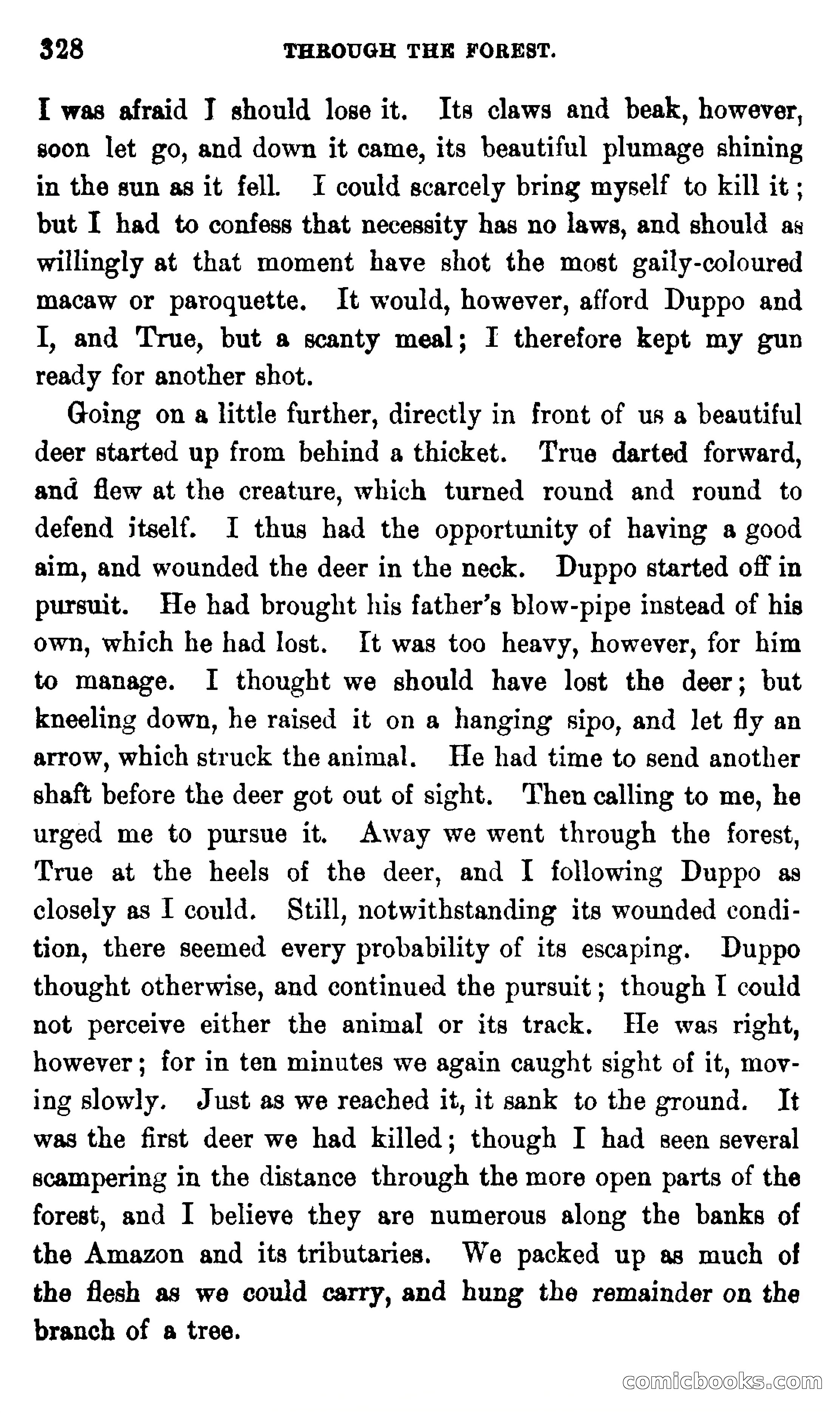 On the Banks of the Amazon — page 322 of 400