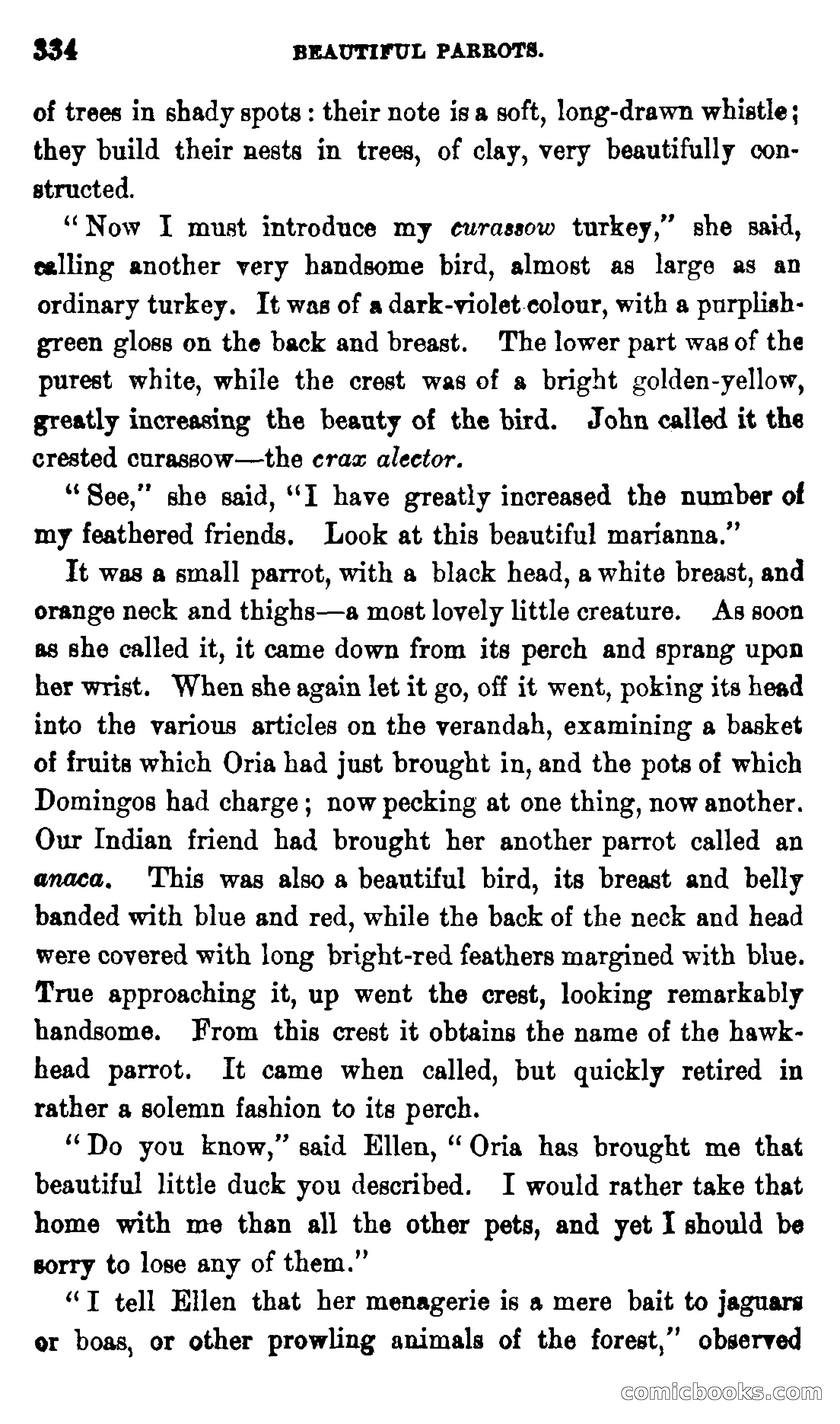 On the Banks of the Amazon — page 328 of 400