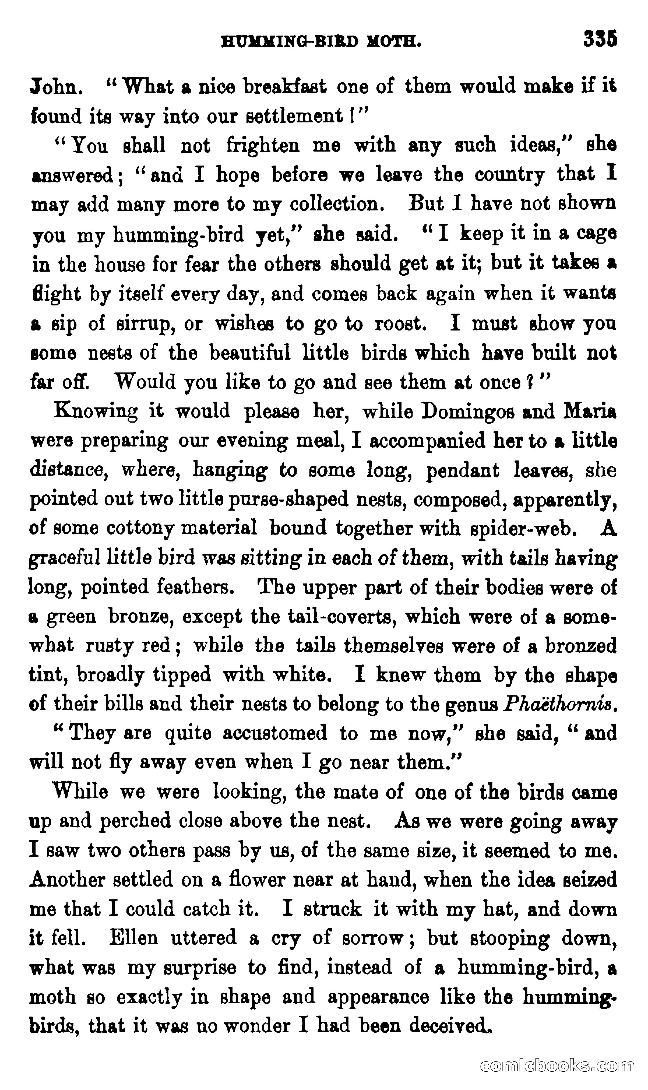 On the Banks of the Amazon — page 329 of 400
