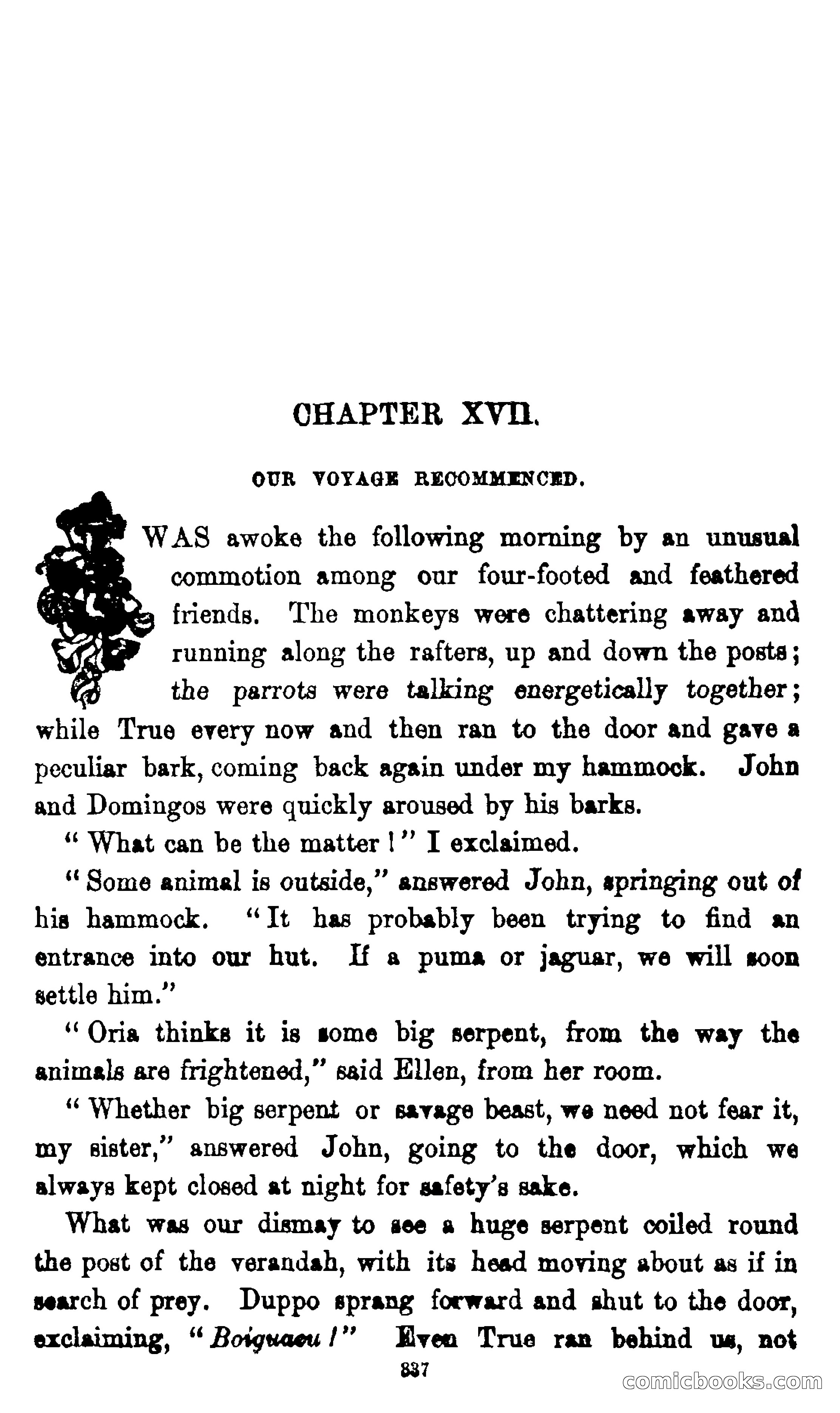 On the Banks of the Amazon — page 331 of 400