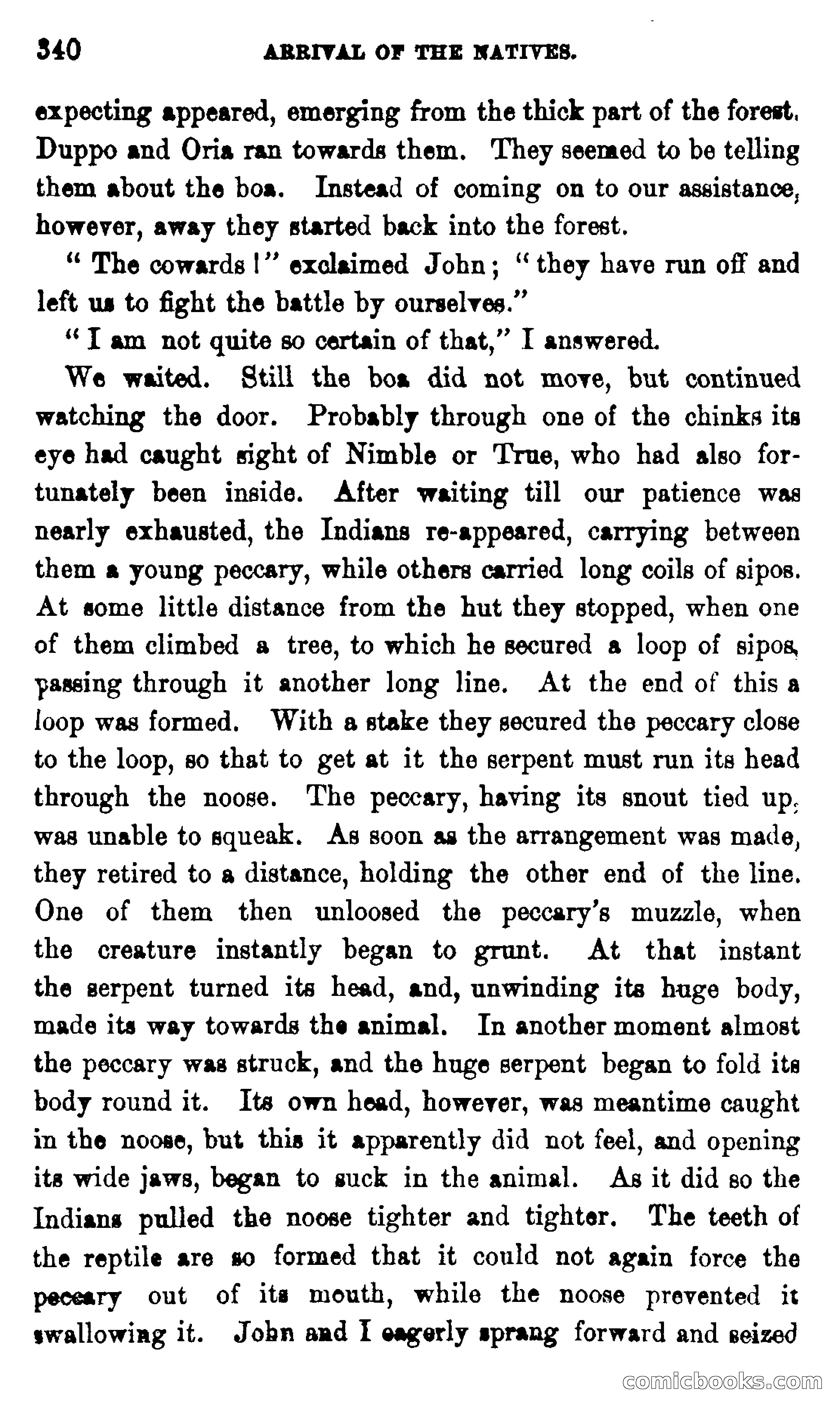 On the Banks of the Amazon — page 334 of 400