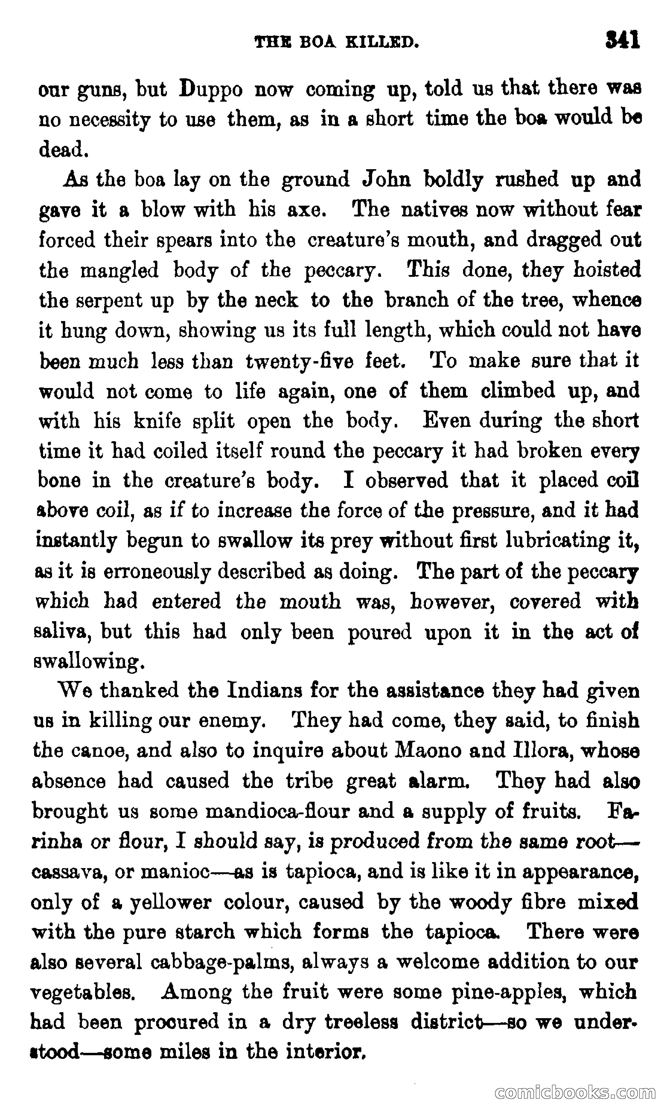 On the Banks of the Amazon — page 335 of 400