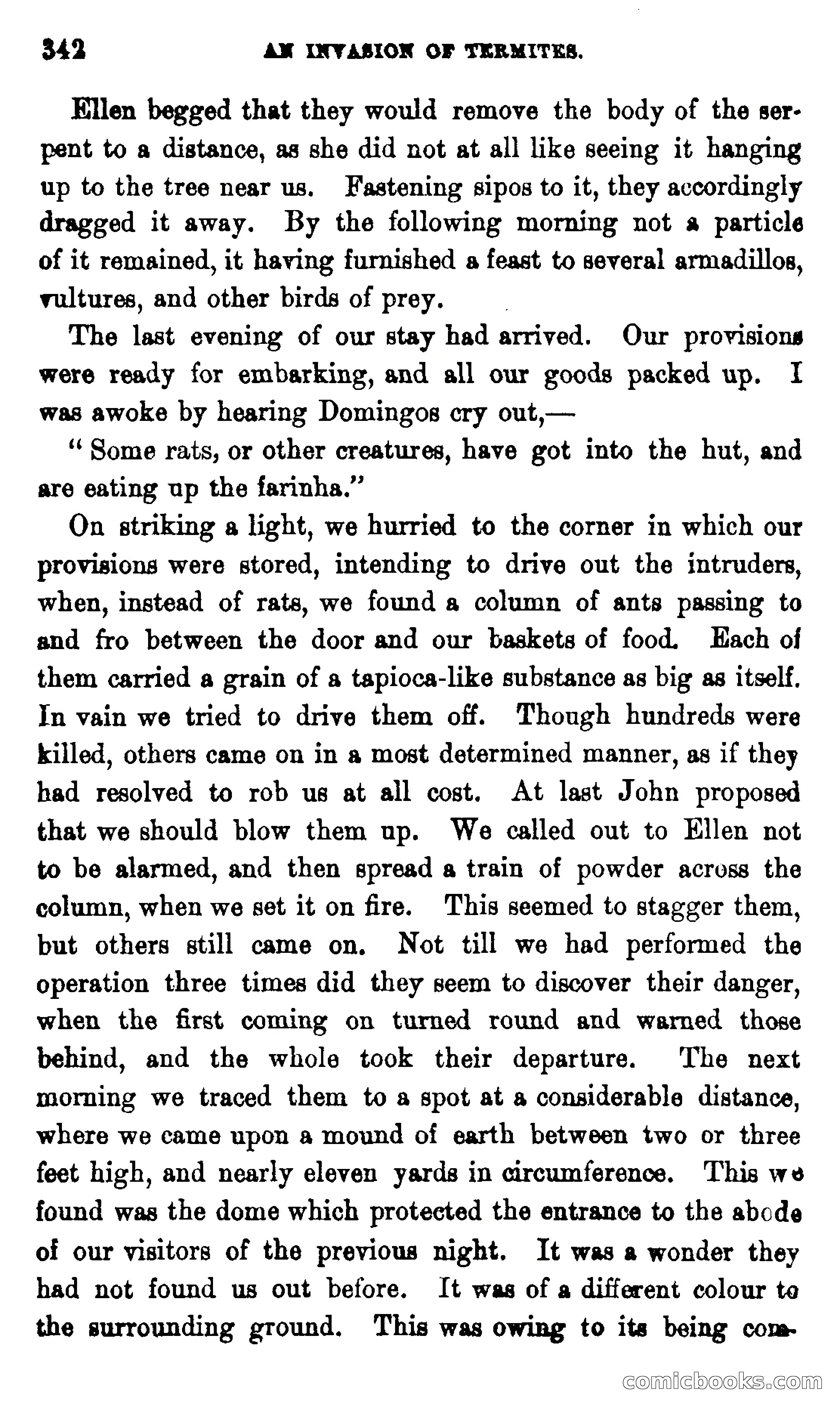 On the Banks of the Amazon — page 336 of 400