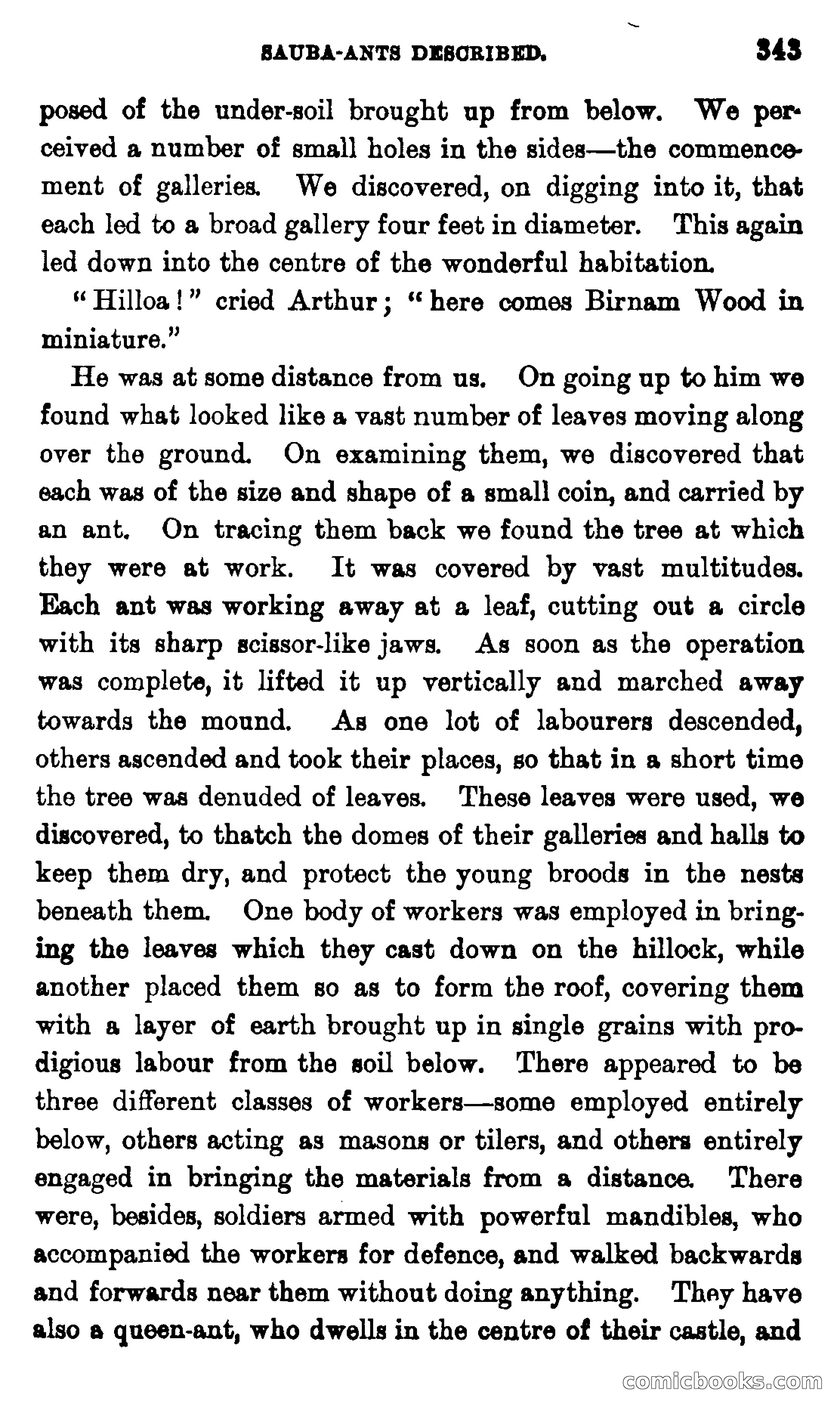 On the Banks of the Amazon — page 337 of 400